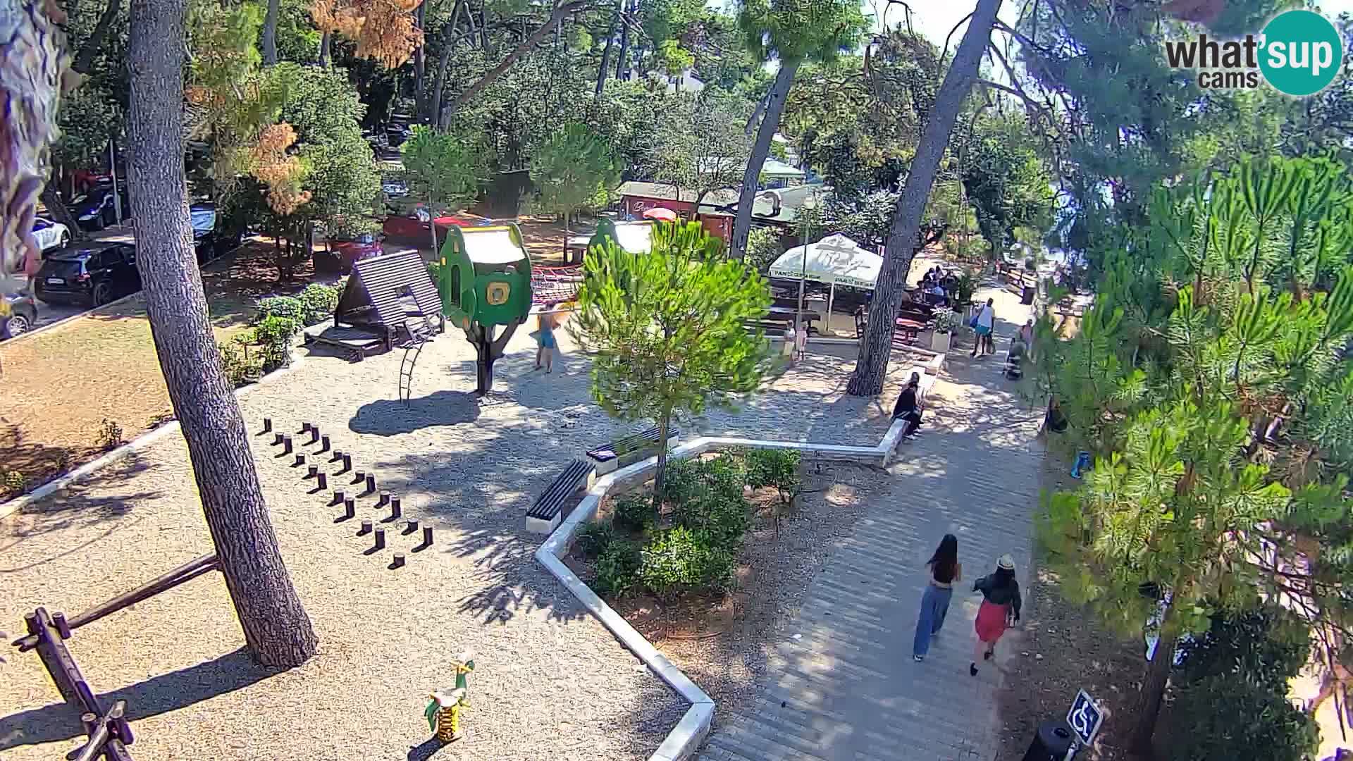 Spletna kamera plaža Borik Rovinj