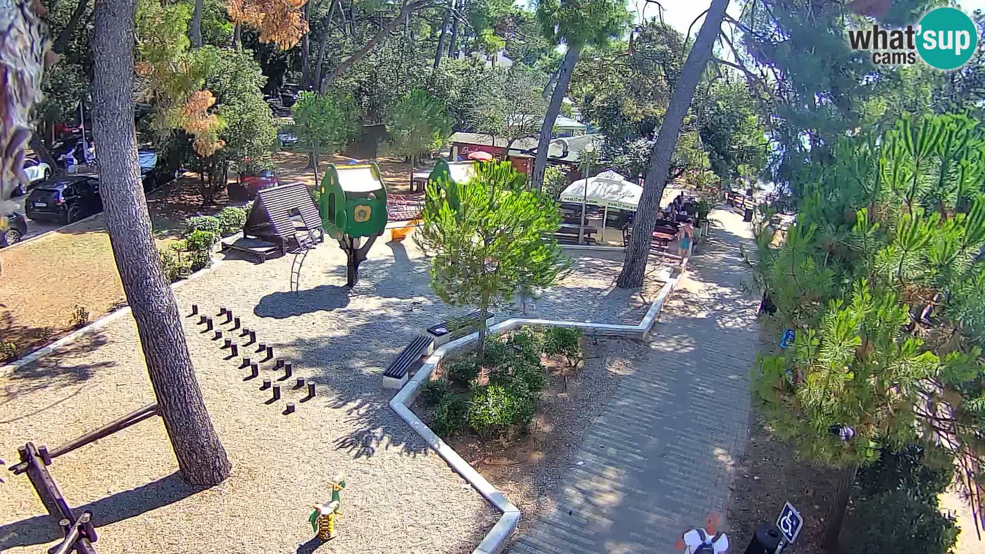 Spletna kamera plaža Borik Rovinj