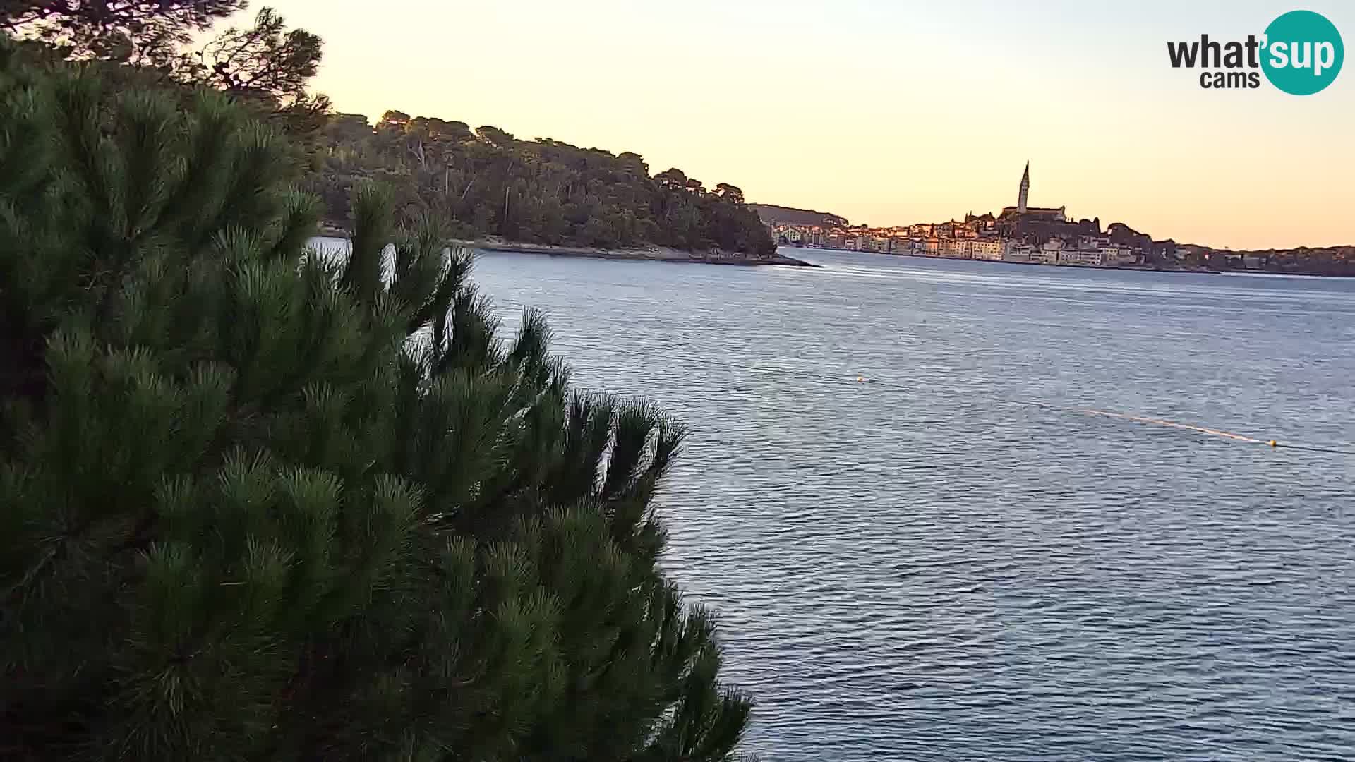 Webcam Spiaggia Borik a Rovigno – Istria