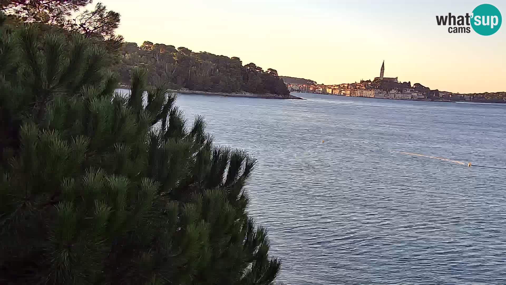 Webcam Spiaggia Borik a Rovigno – Istria