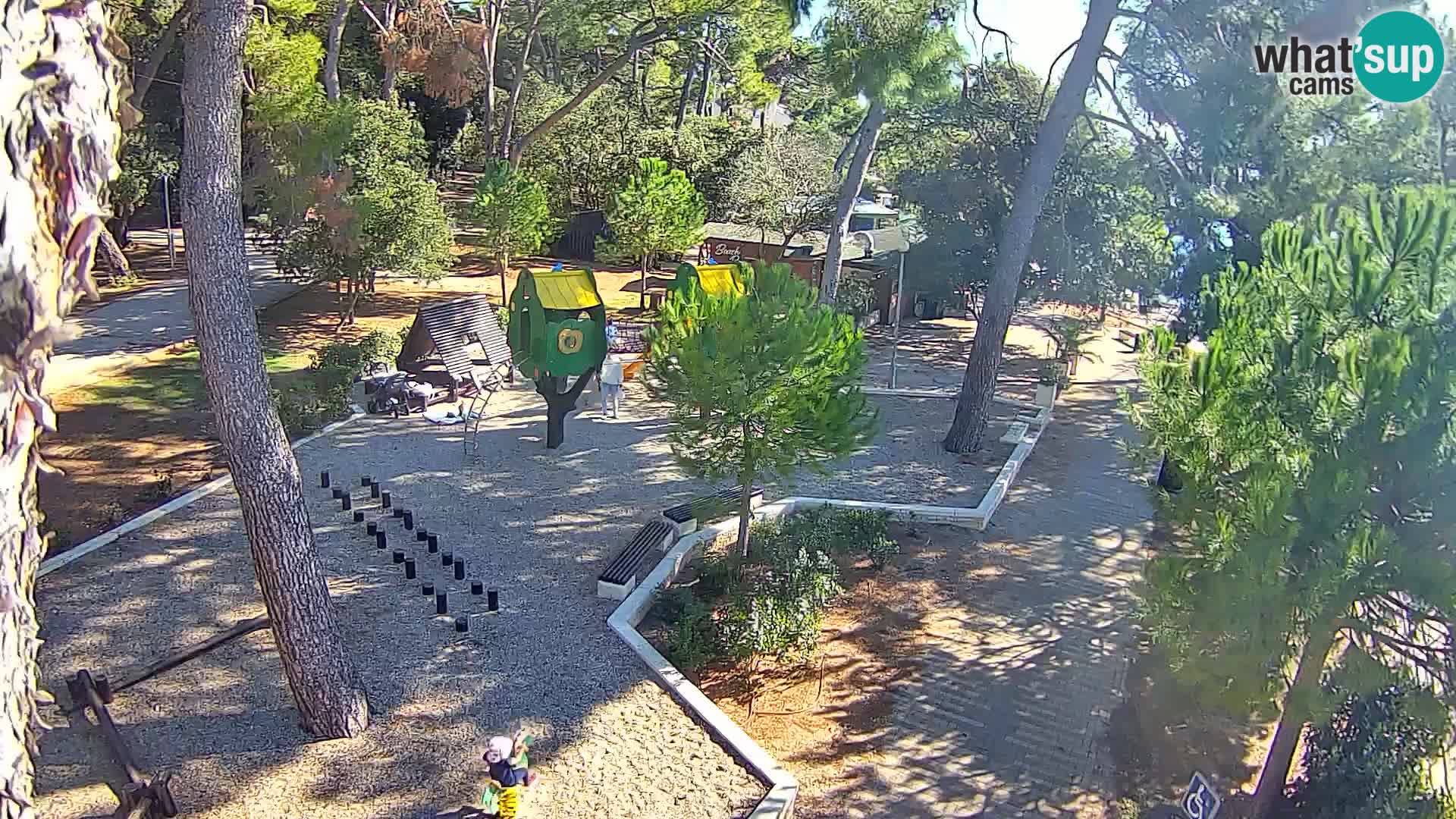 Spletna kamera plaža Borik Rovinj