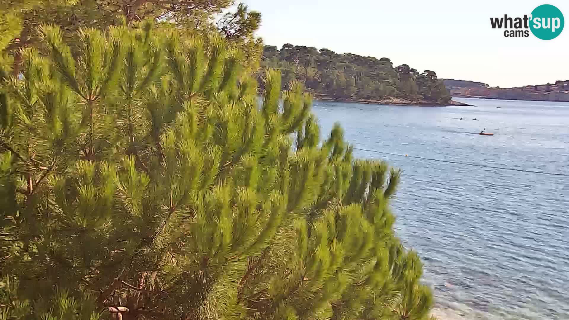 Webcam Spiaggia Borik a Rovigno – Istria