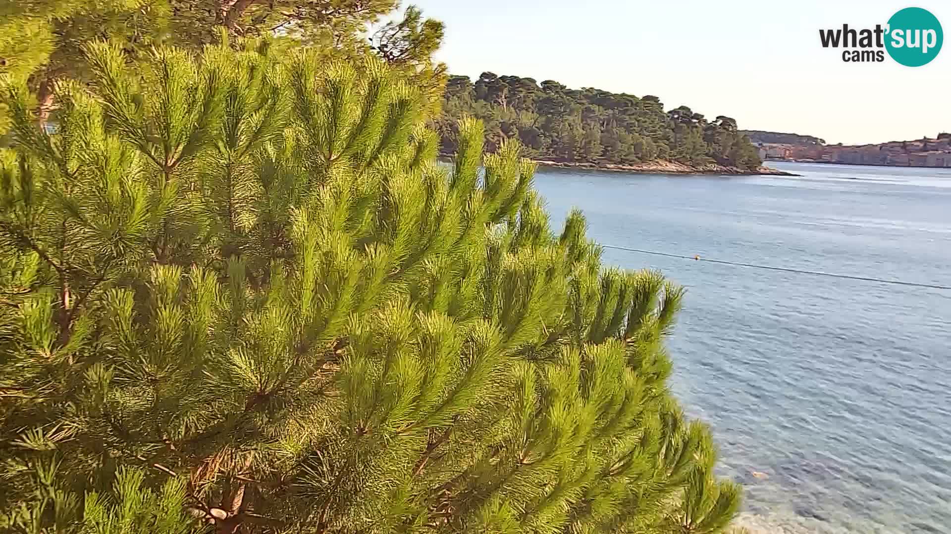Webcam Borik Strand Rovinj – Istrien
