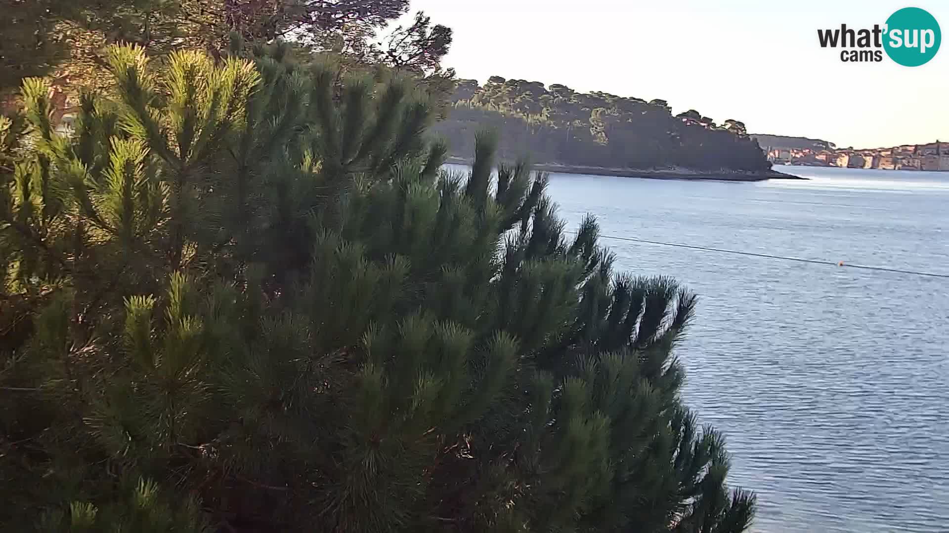 Camera en vivo Borik playa Rovinj – Istria