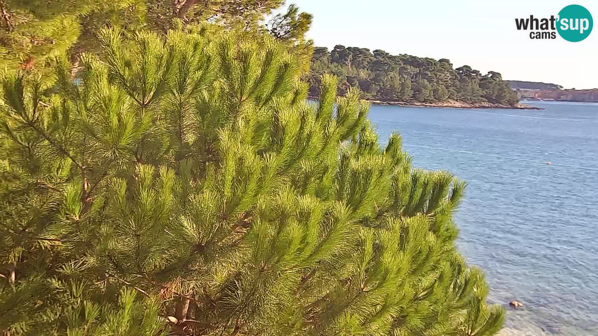 Webcam Borik beach Rovinj – Istria