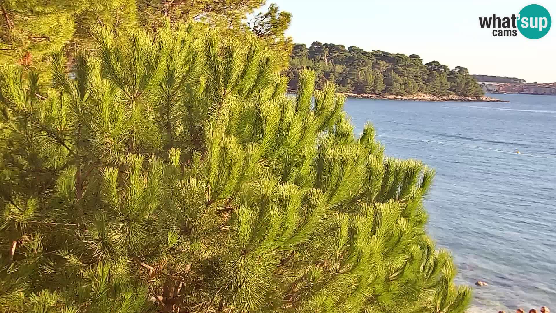 Web kamera Borik plaža Rovinj – Istra