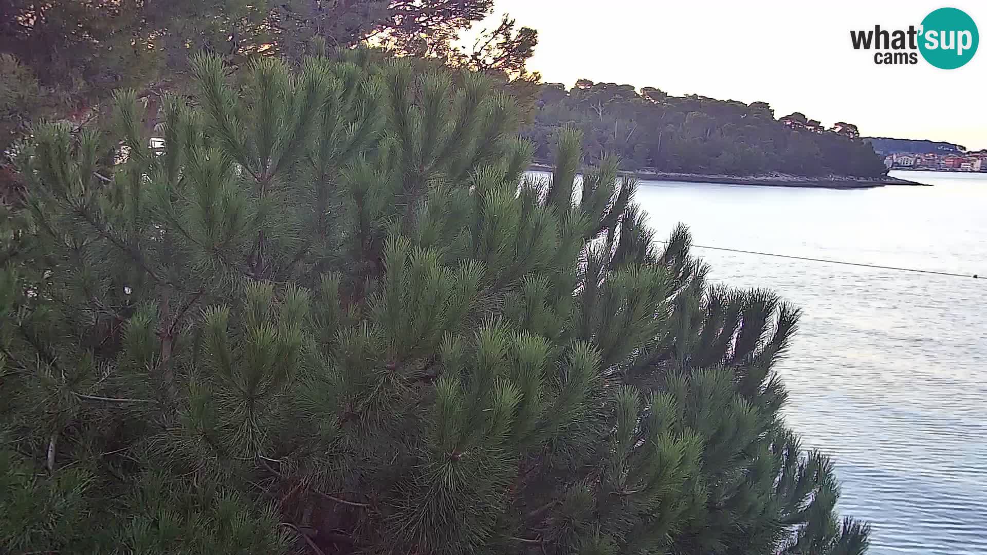 Webcam Spiaggia Borik a Rovigno – Istria