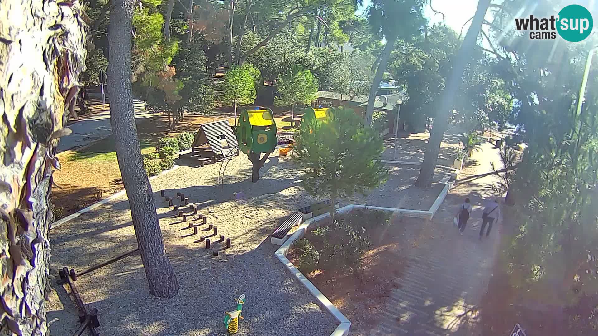 Webcam Spiaggia Borik a Rovigno – Istria