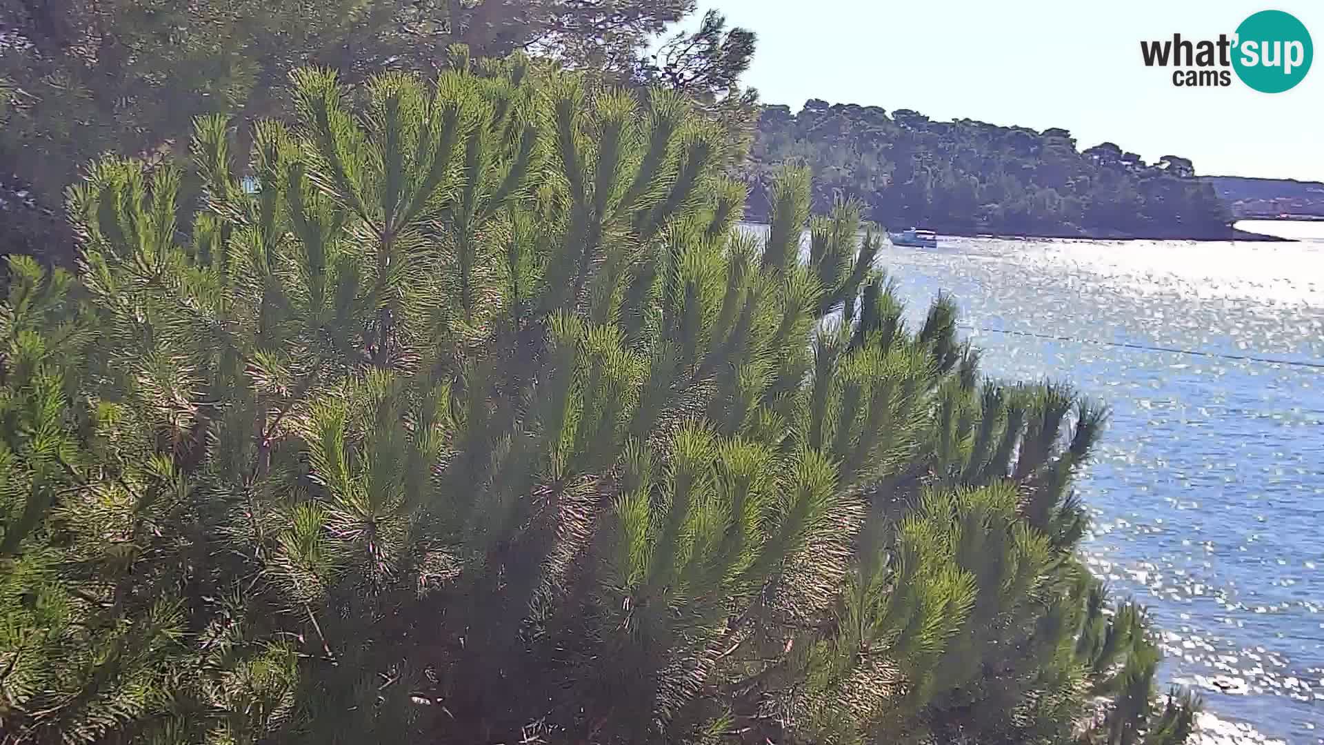 Livecam Borik plage Rovinj – Istrie
