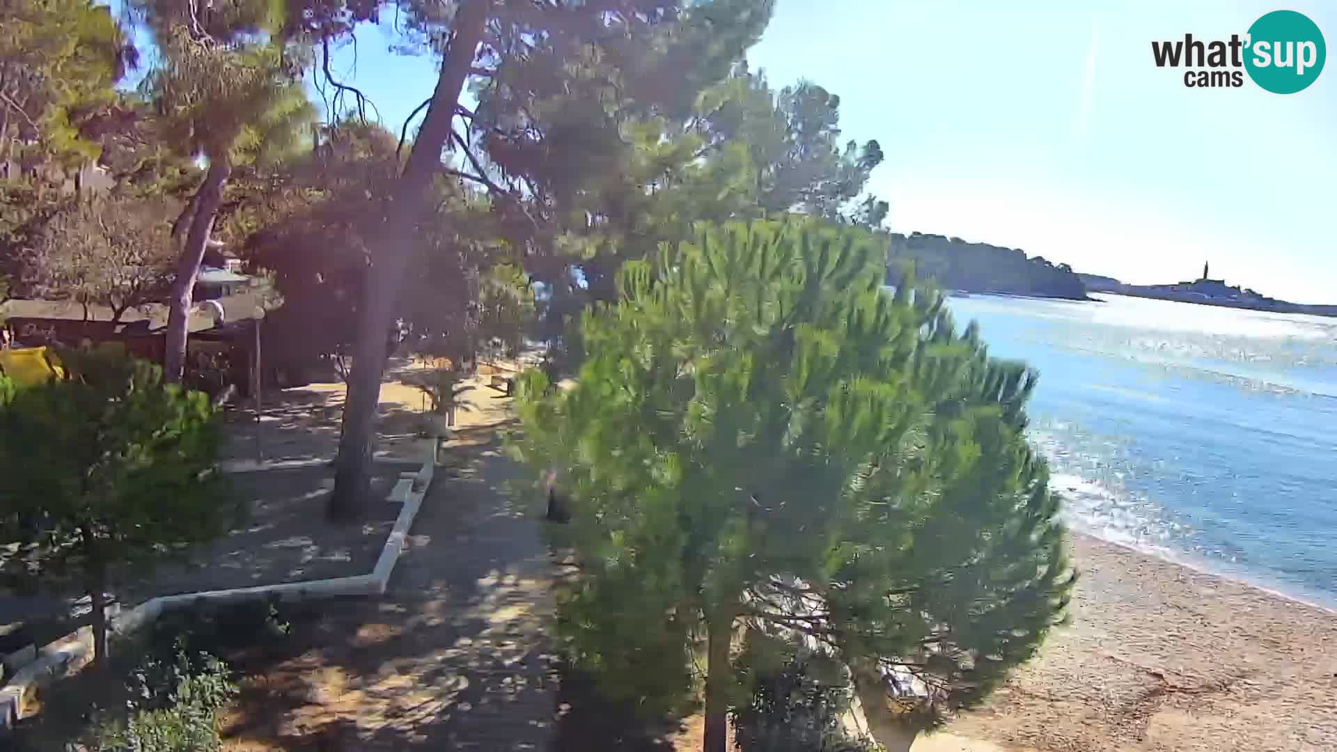 Livecam Borik plage Rovinj – Istrie