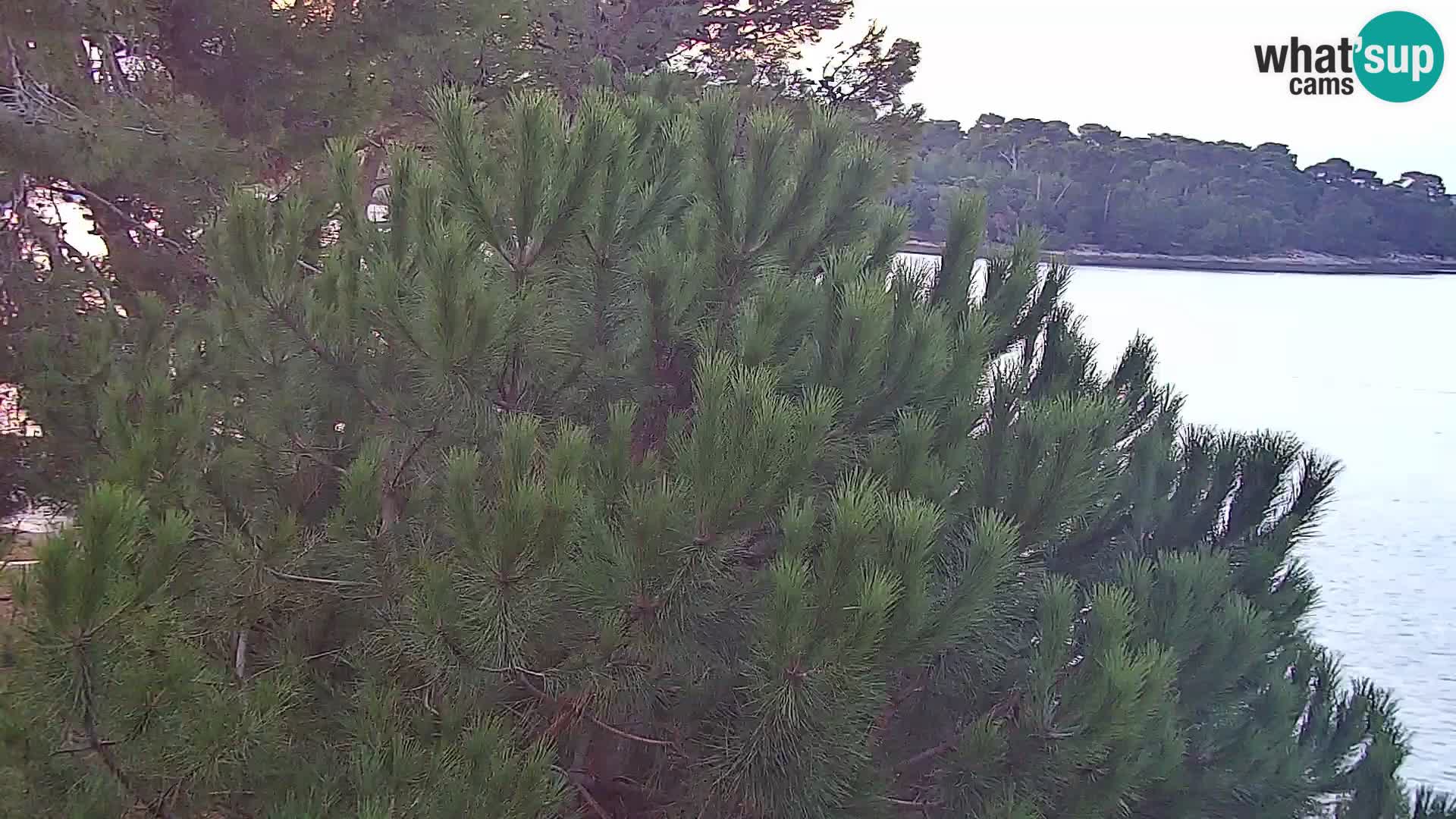 Webcam Spiaggia Borik a Rovigno – Istria