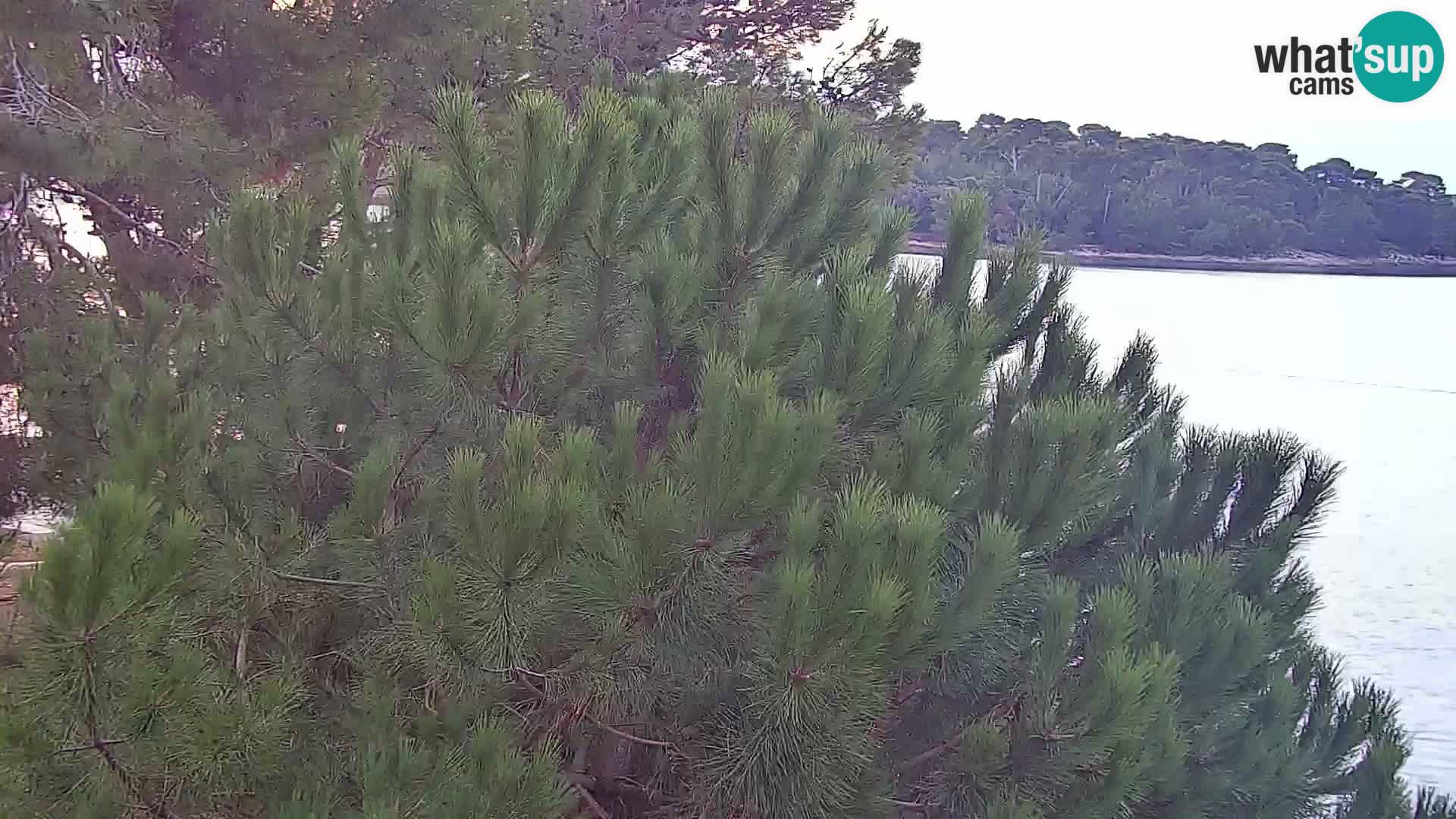 Spletna kamera plaža Borik Rovinj