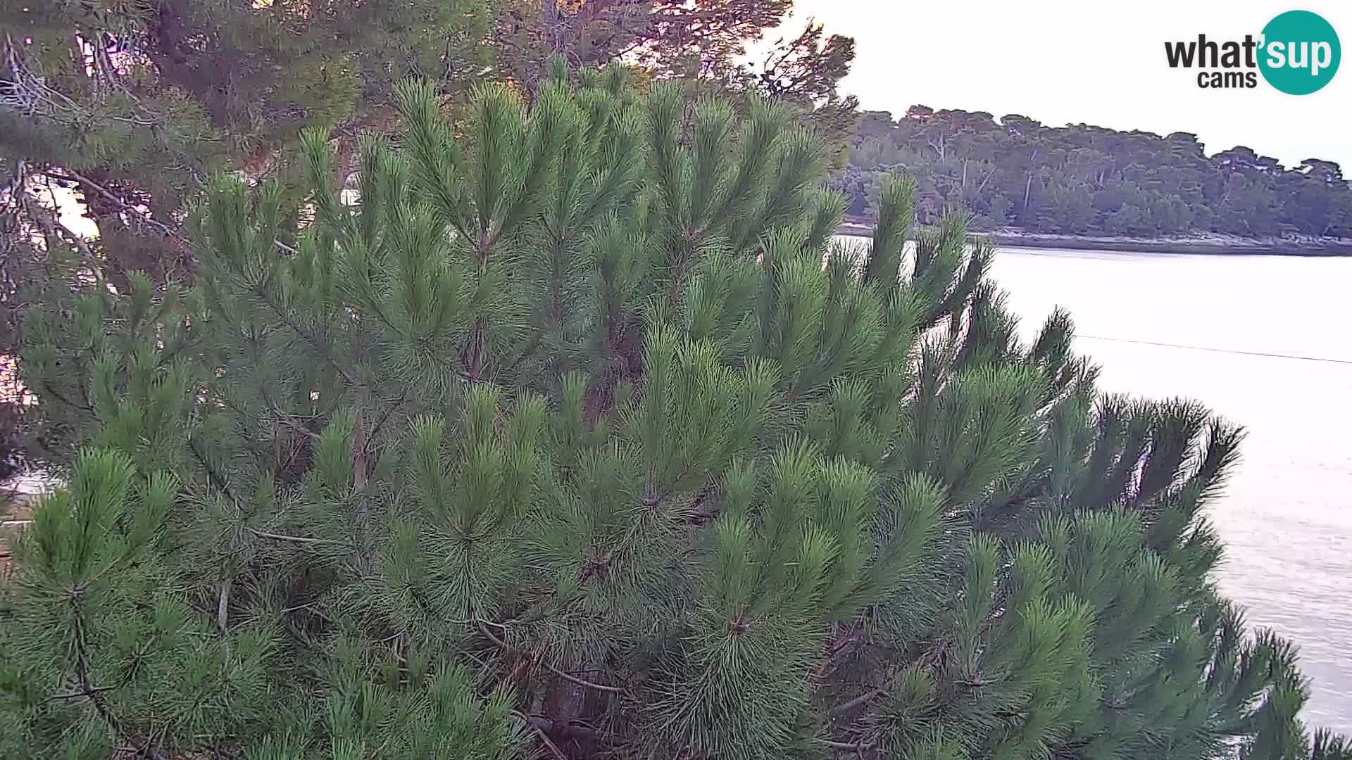 Camera en vivo Borik playa Rovinj – Istria