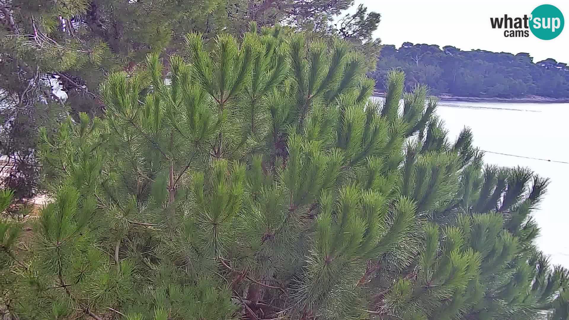 Livecam Borik plage Rovinj – Istrie