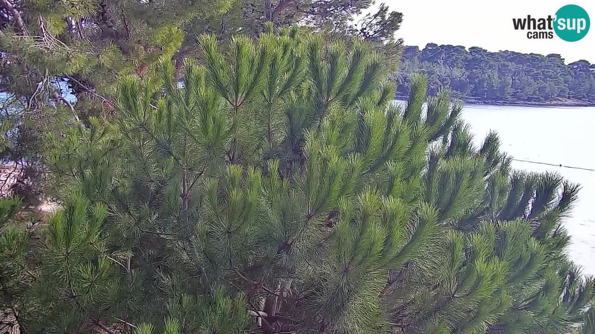 Webcam Borik Strand Rovinj – Istrien