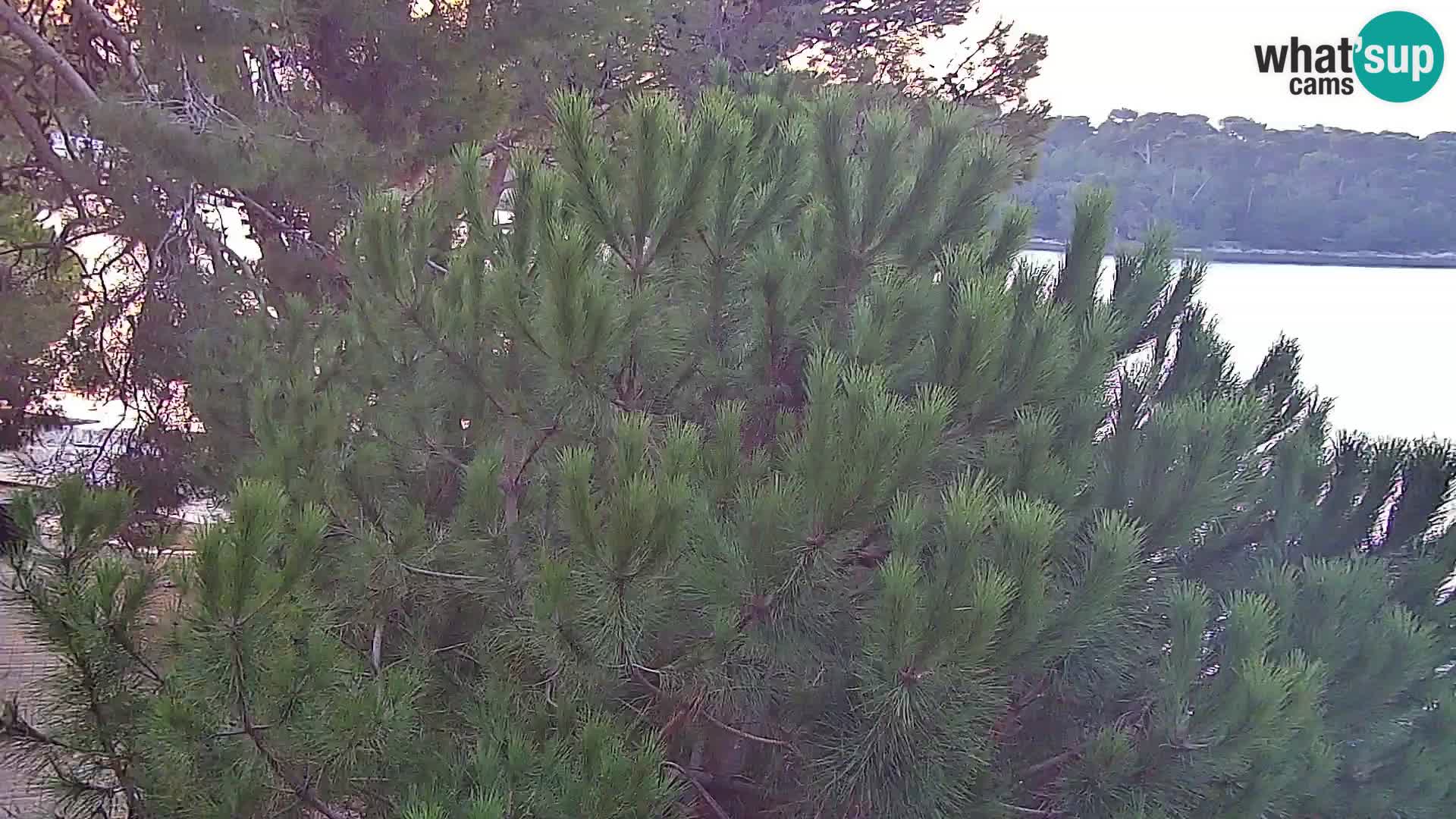Spletna kamera plaža Borik Rovinj