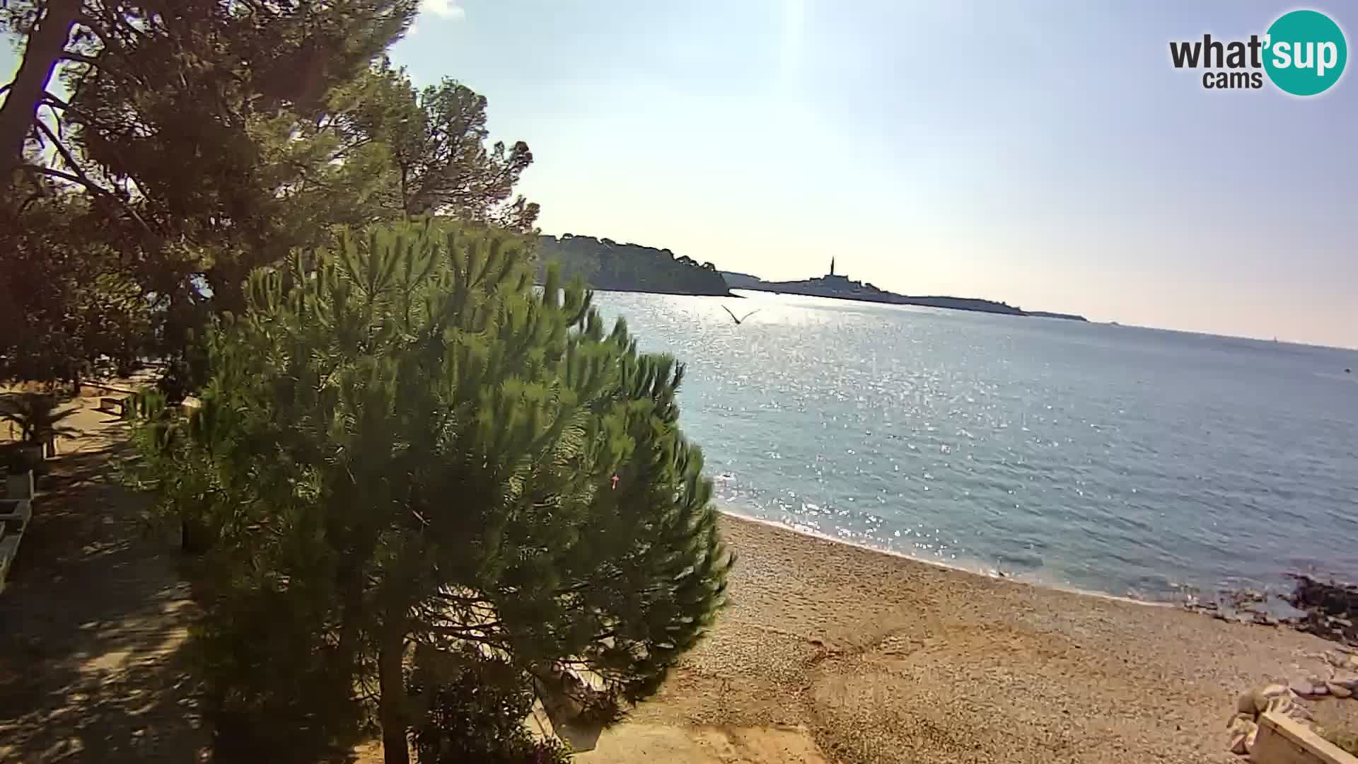 Web kamera Borik plaža Rovinj – Istra