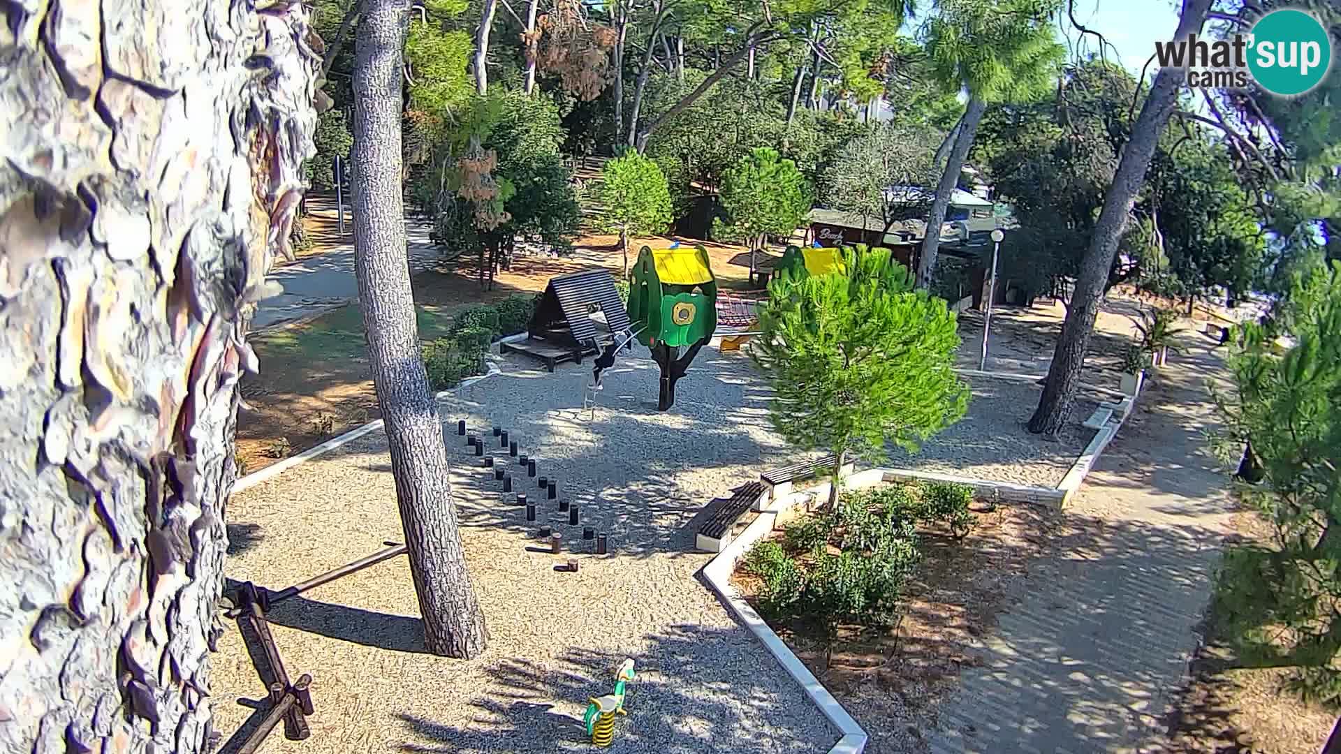 Livecam Borik plage Rovinj – Istrie