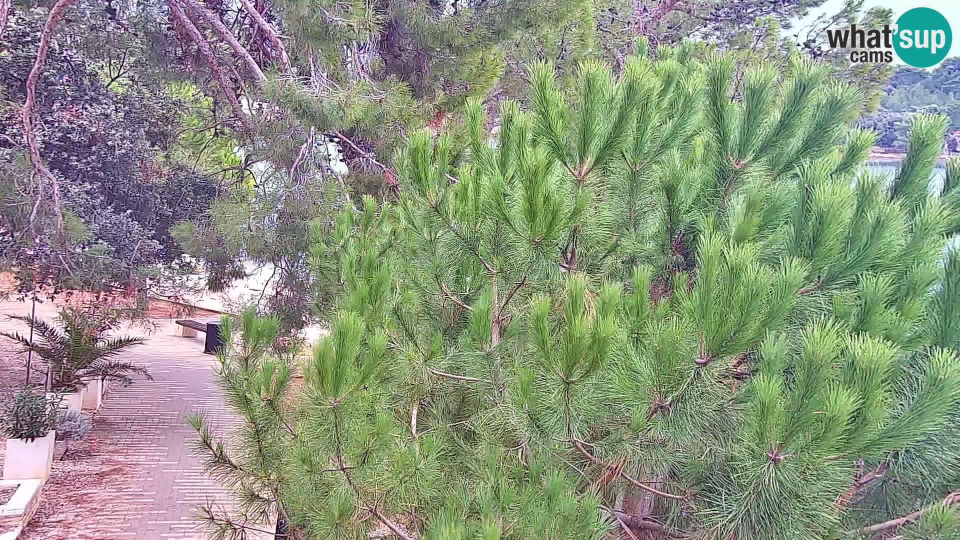 Camera en vivo Borik playa Rovinj – Istria