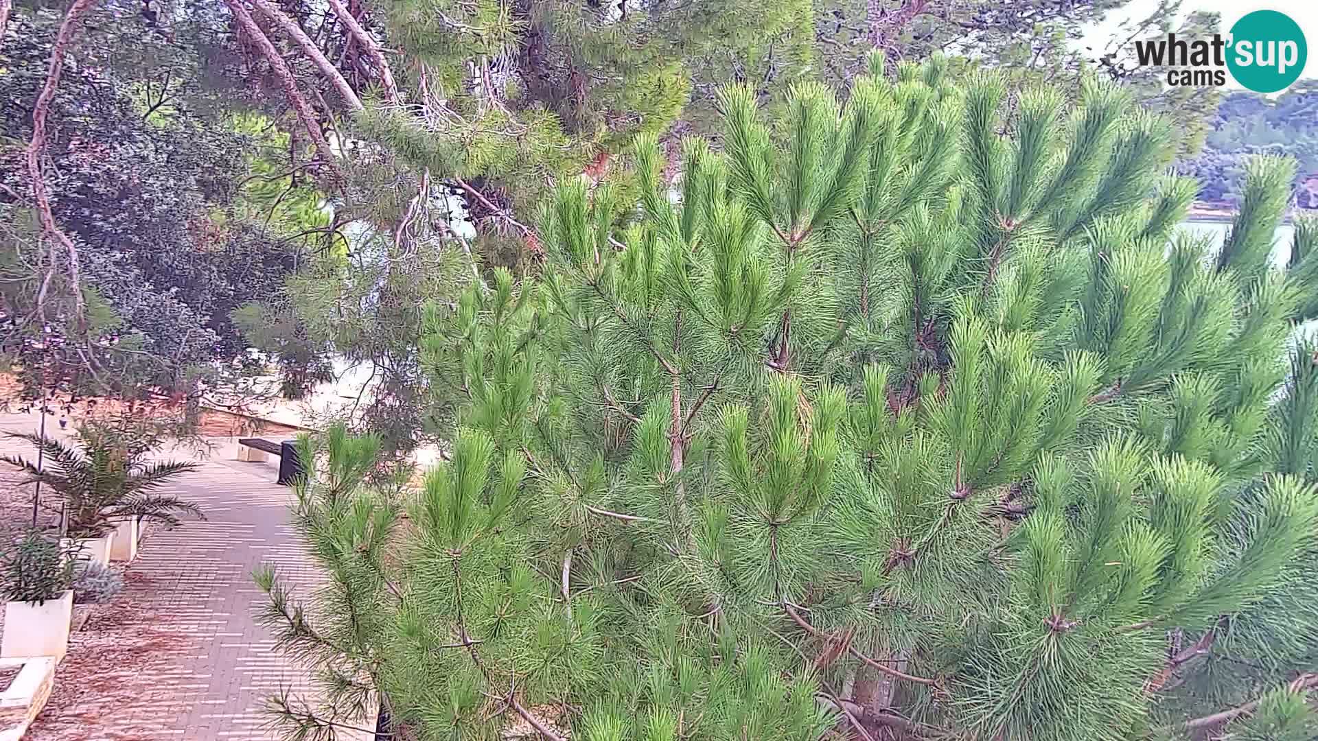 Spletna kamera plaža Borik Rovinj