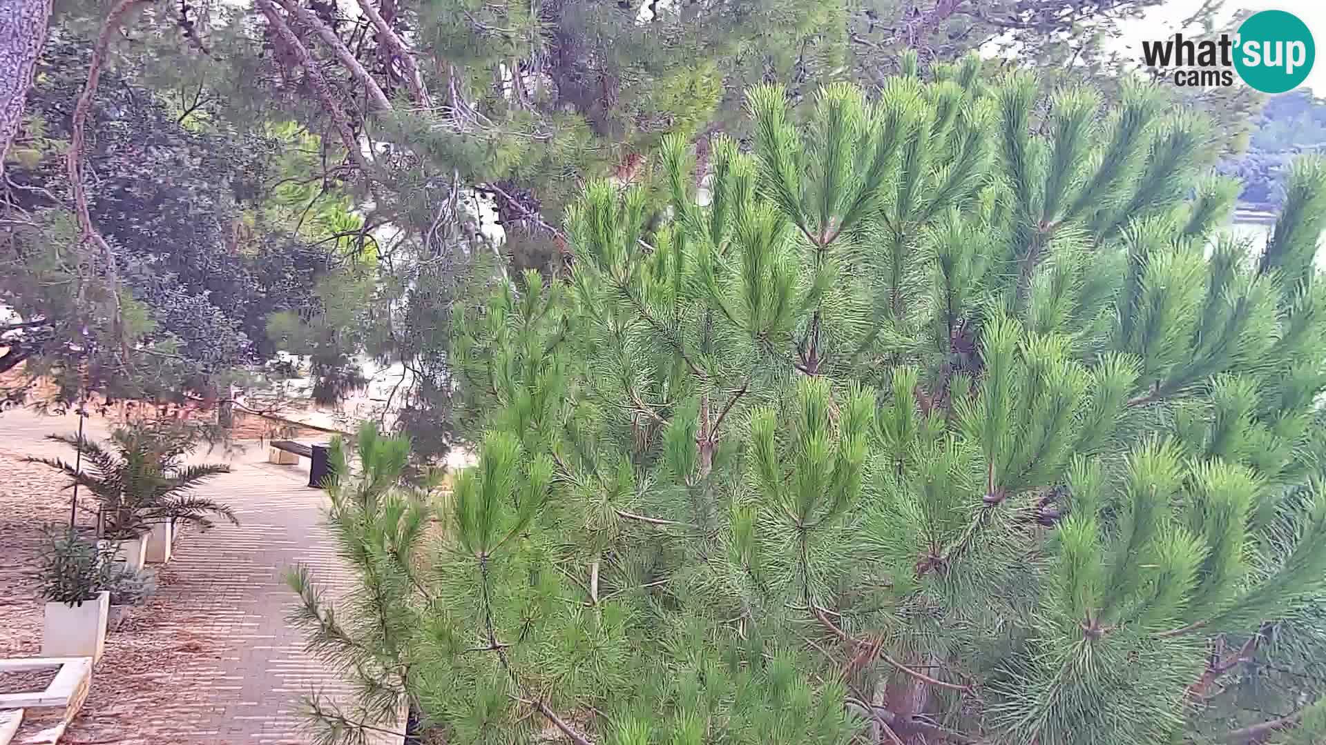 Spletna kamera plaža Borik Rovinj