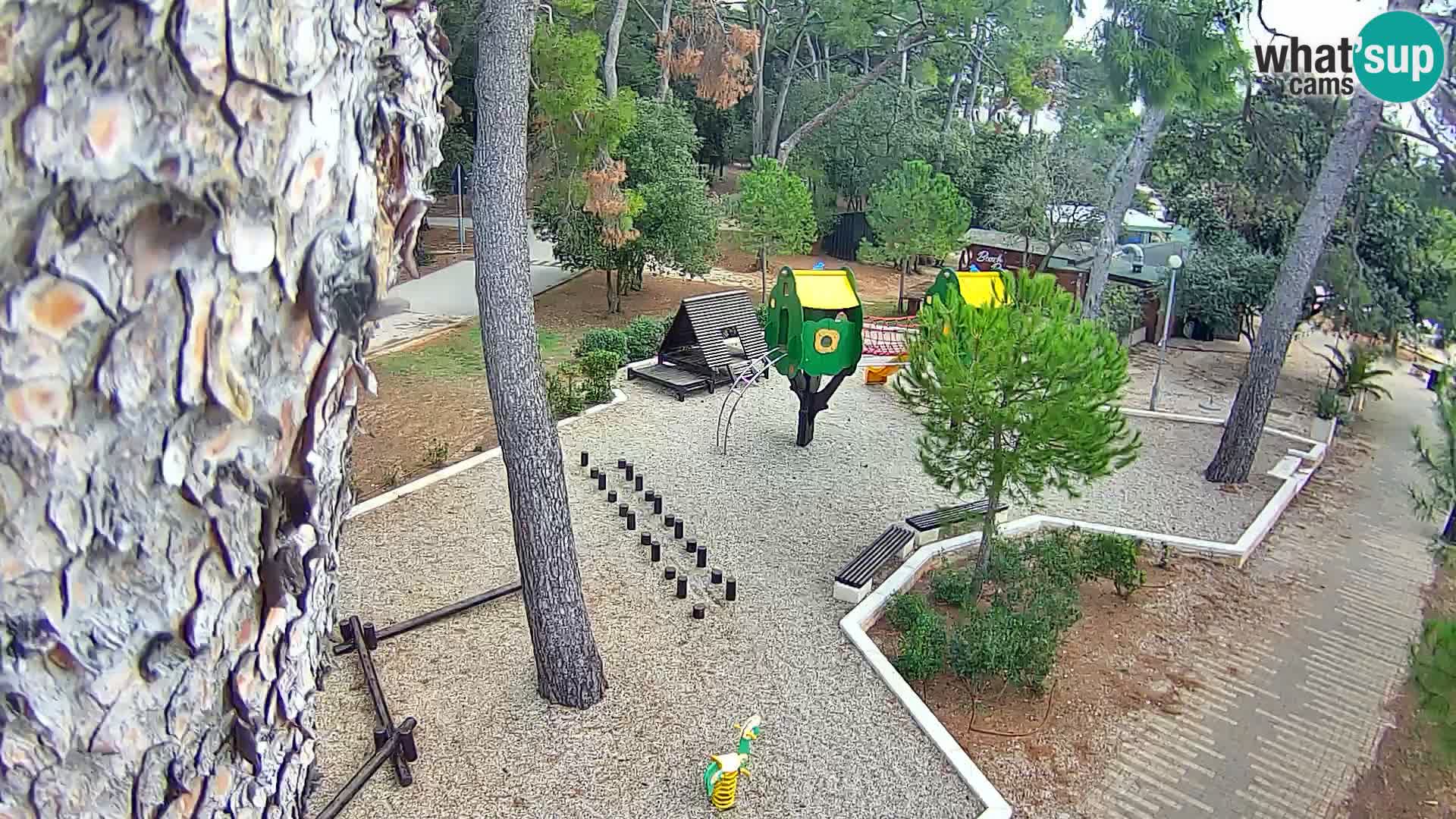 Livecam Borik plage Rovinj – Istrie