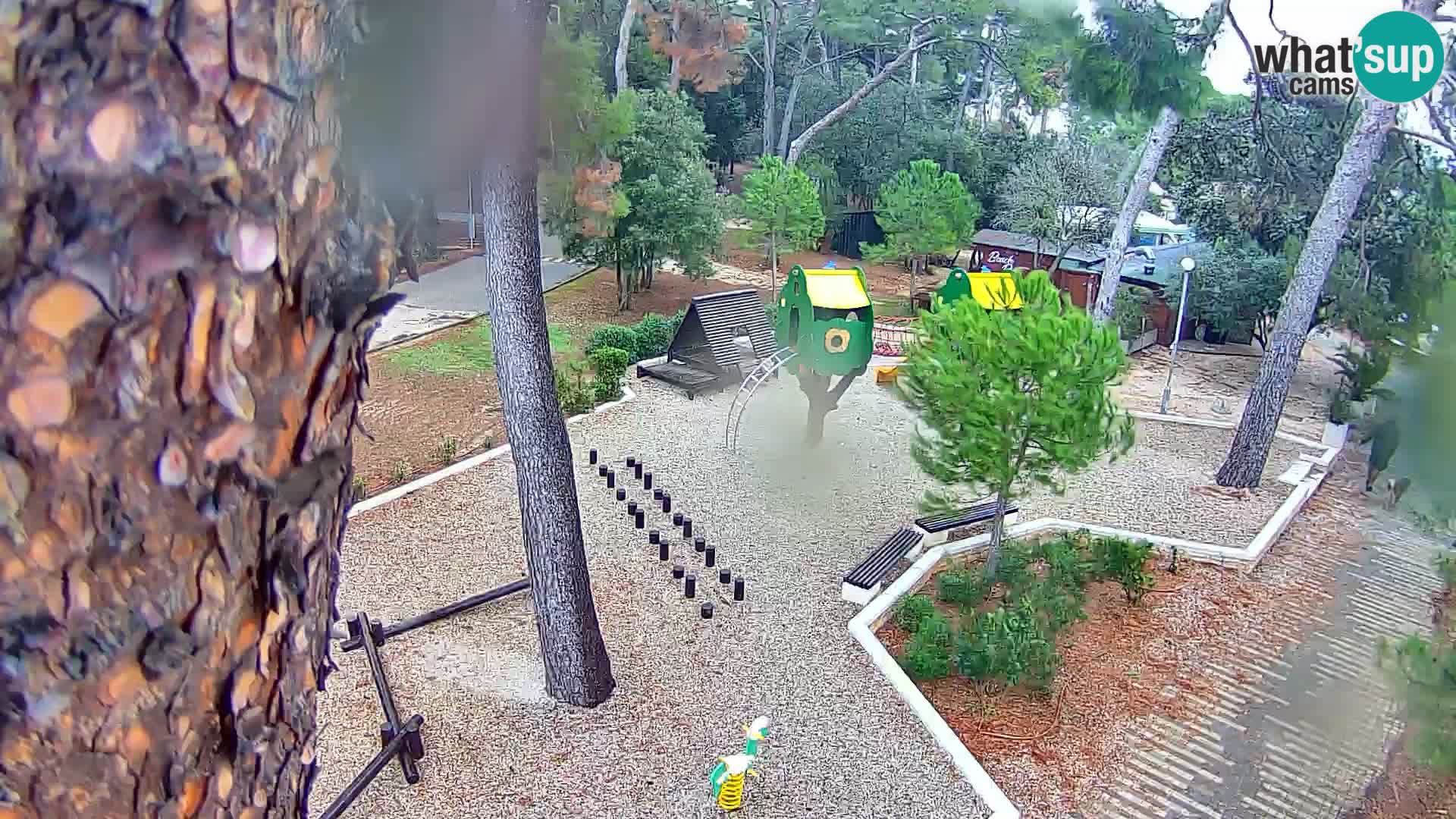 Webcam Borik Strand Rovinj – Istrien