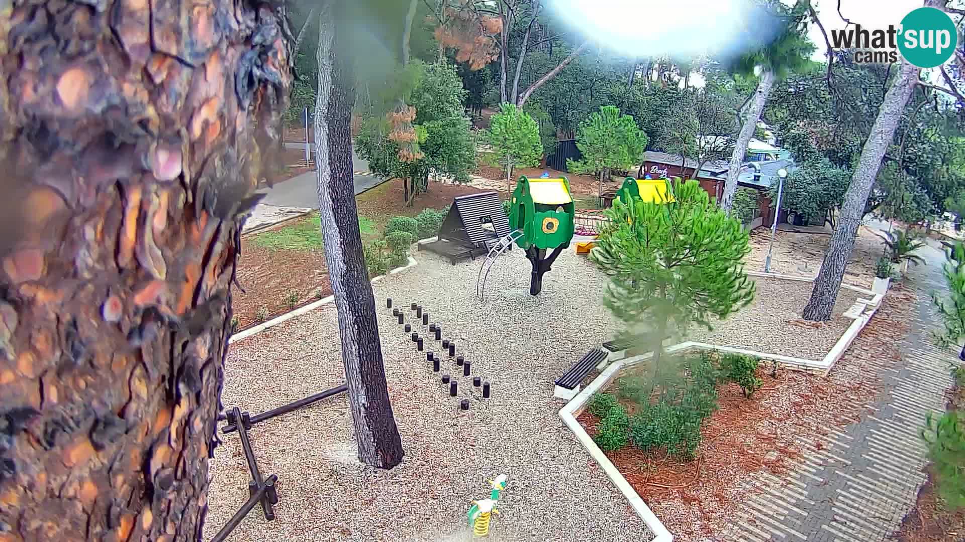 Webcam Borik beach Rovinj – Istria