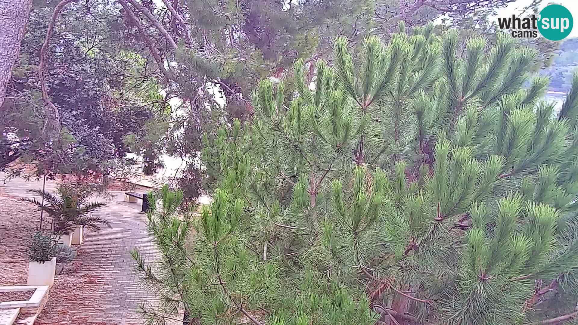 Web kamera Borik plaža Rovinj – Istra