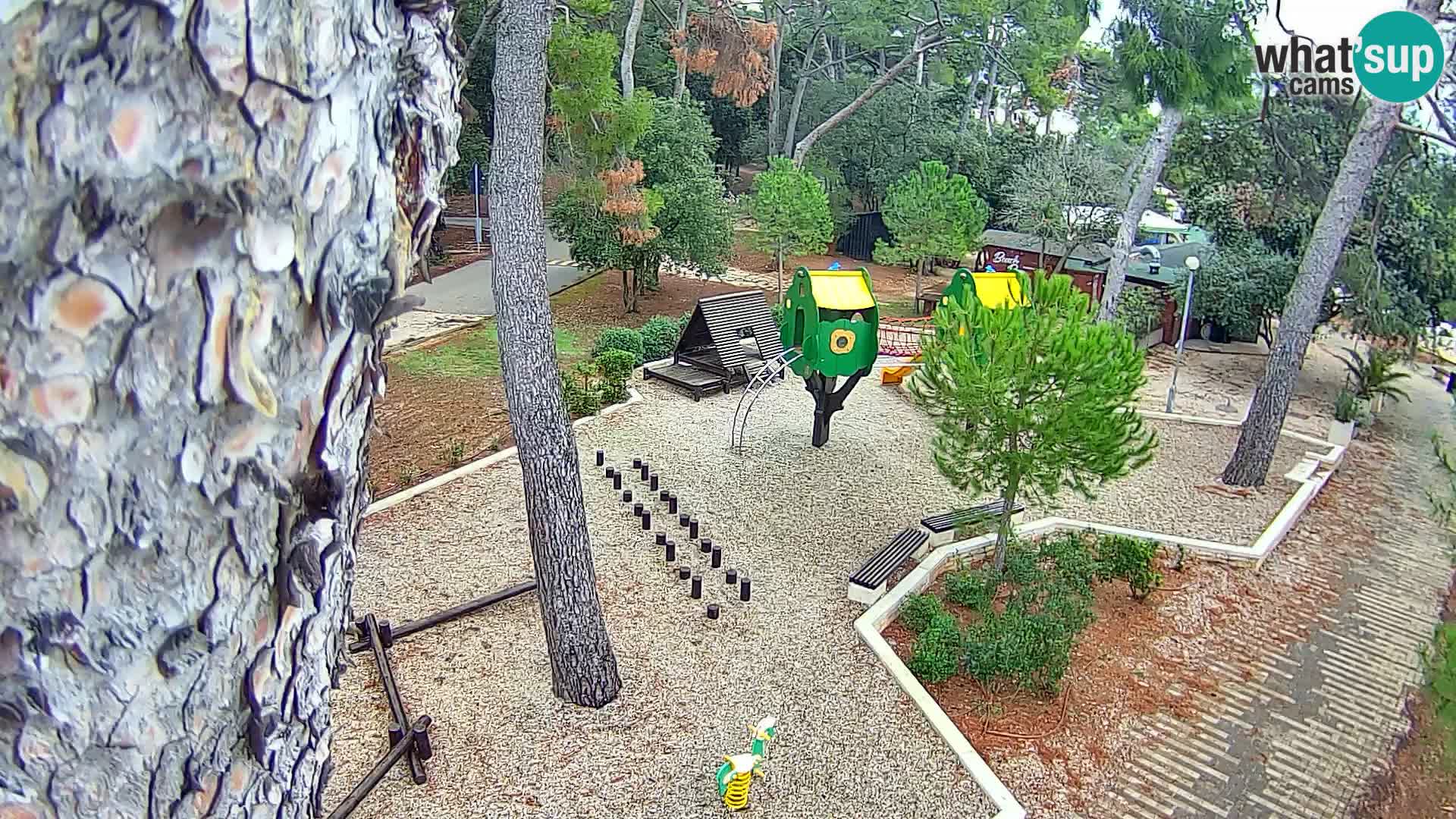 Webcam Spiaggia Borik a Rovigno – Istria