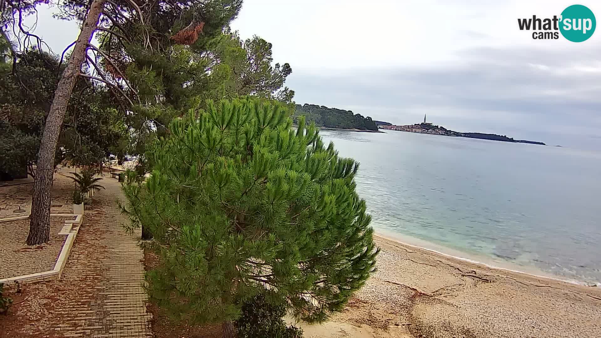 Webcam Spiaggia Borik a Rovigno – Istria