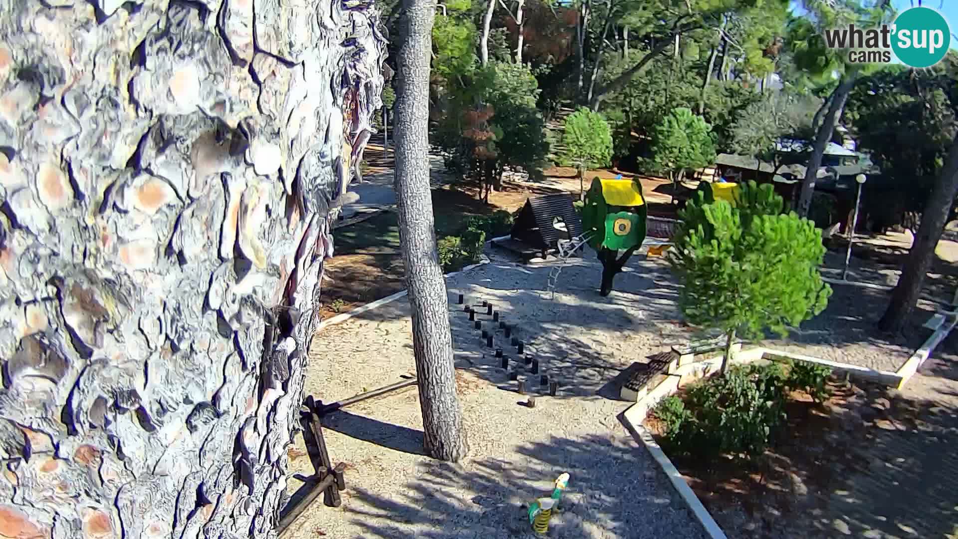 Webcam Borik Strand Rovinj – Istrien