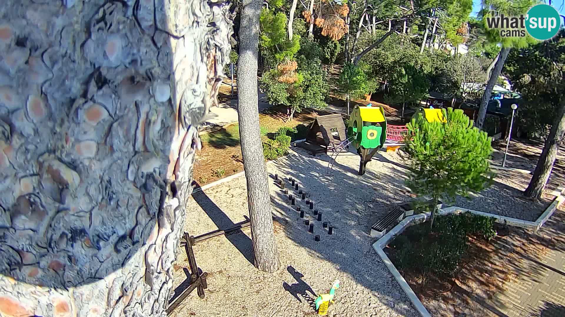 Webcam Borik Strand Rovinj – Istrien