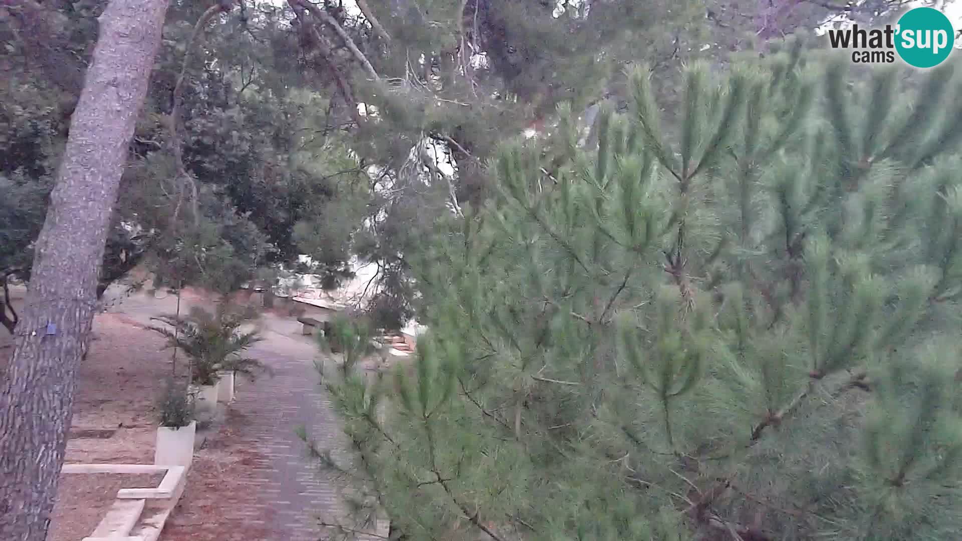 Spletna kamera plaža Borik Rovinj