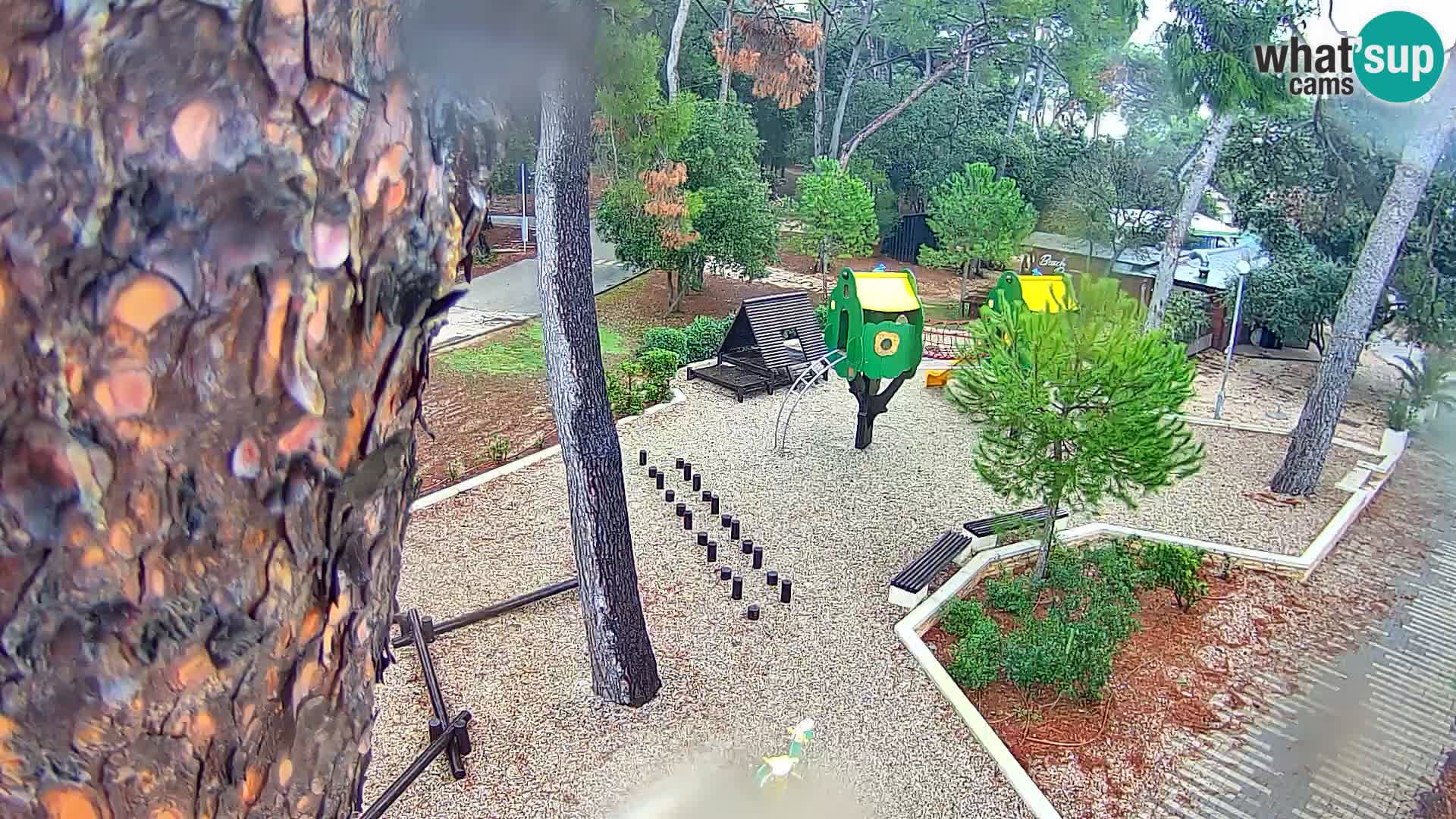 Camera en vivo Borik playa Rovinj – Istria