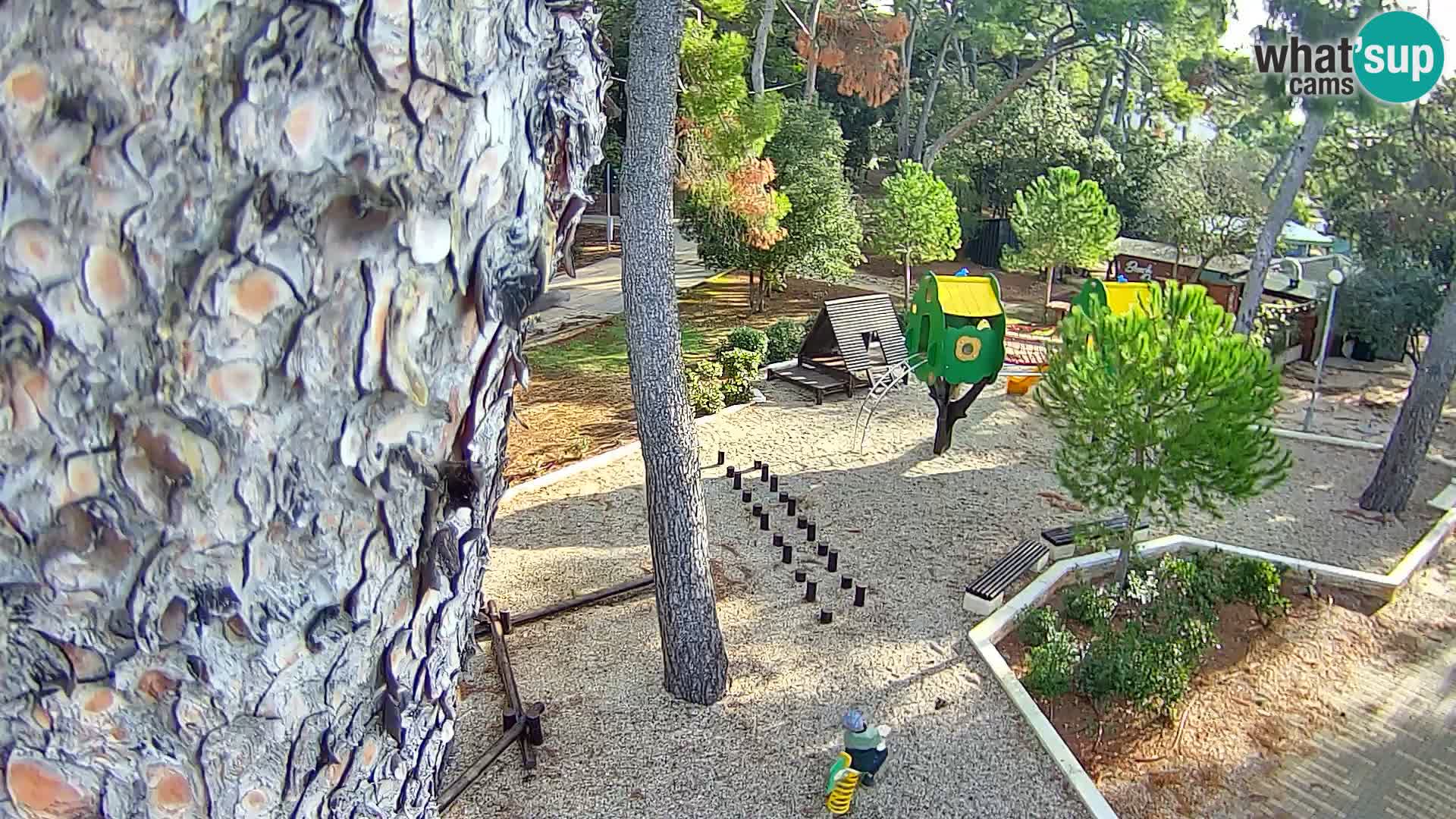 Webcam Borik beach Rovinj – Istria