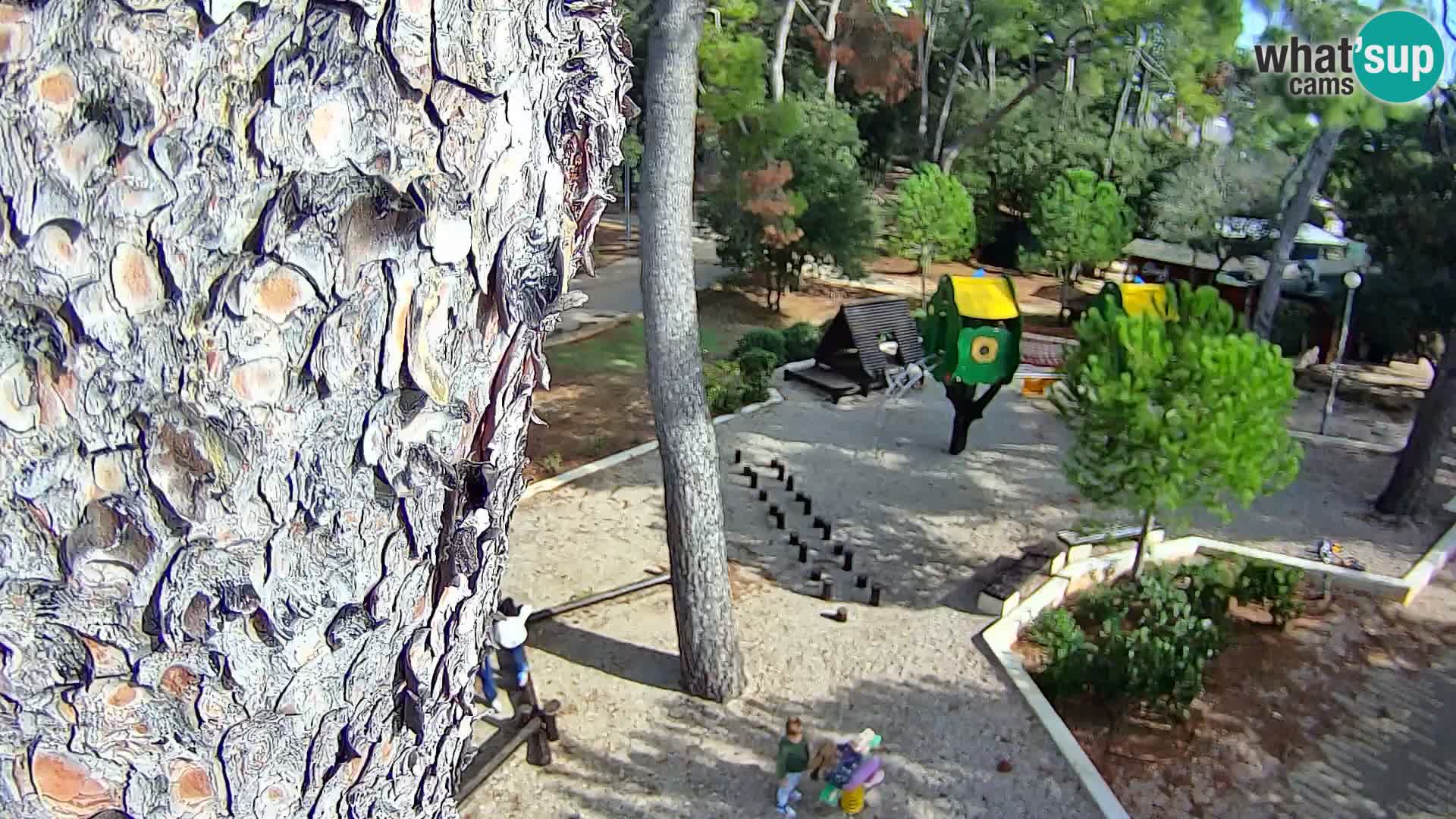 Web kamera Borik plaža Rovinj – Istra