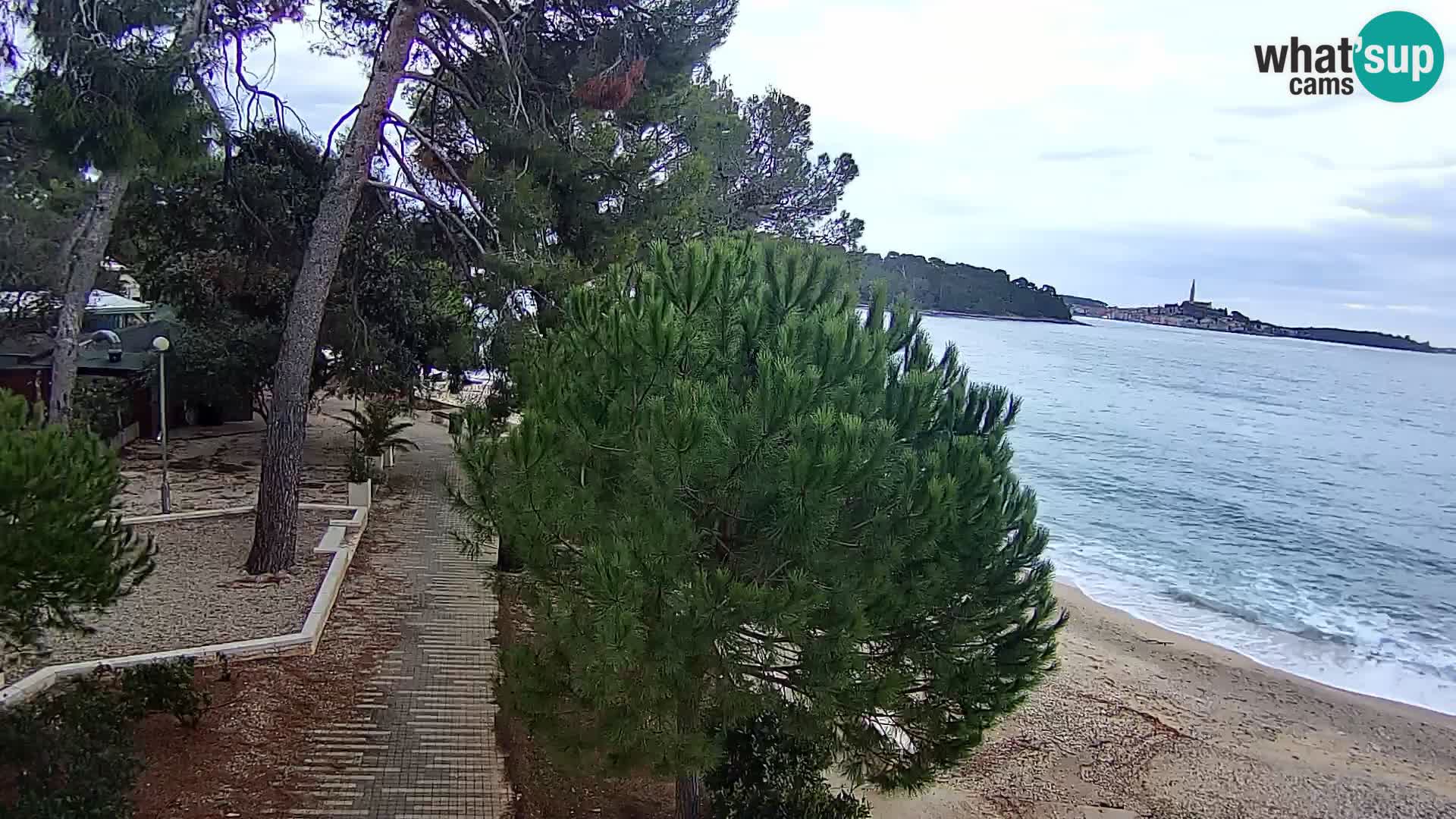 Webcam Spiaggia Borik a Rovigno – Istria