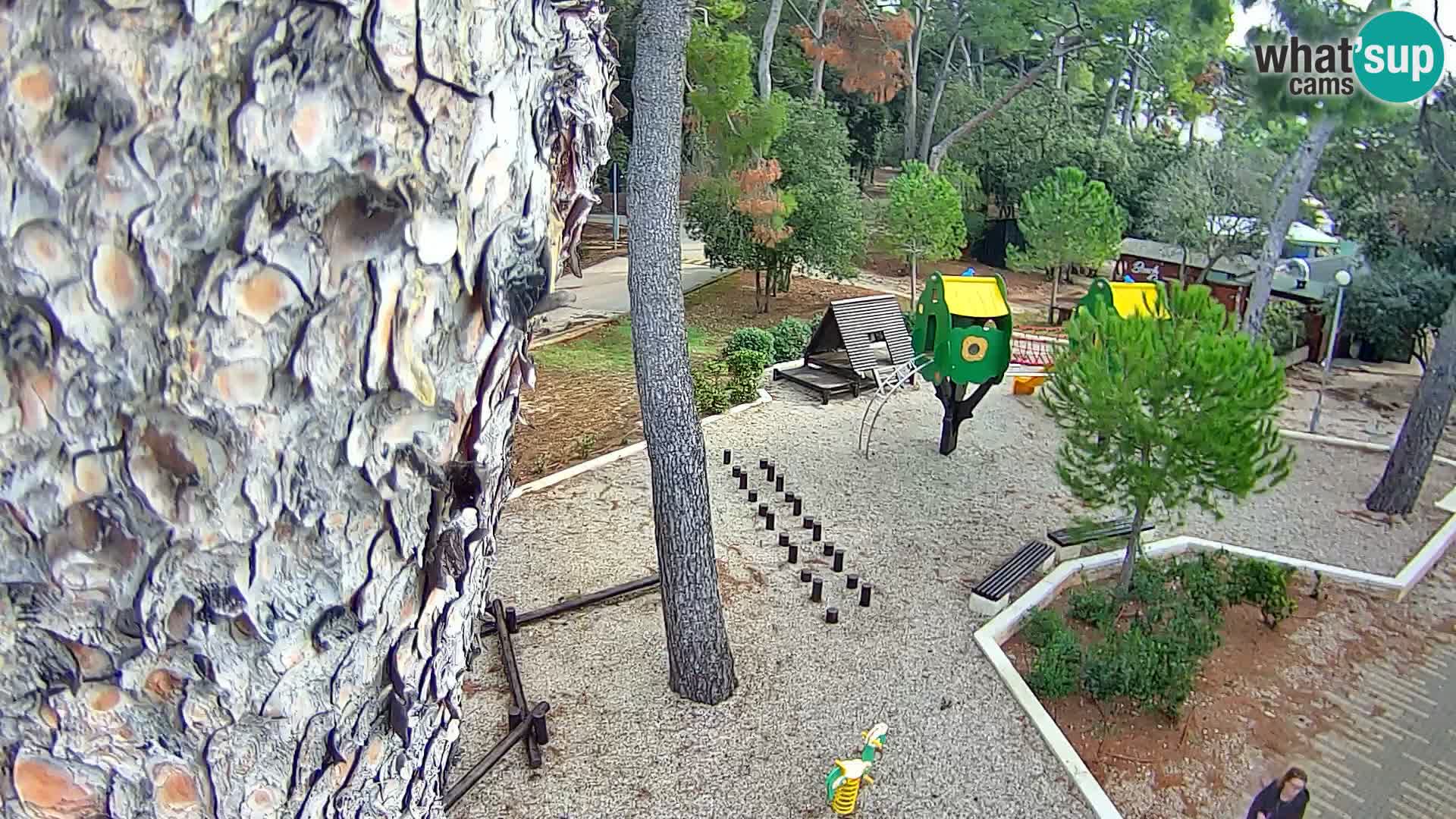 Webcam Borik beach Rovinj – Istria