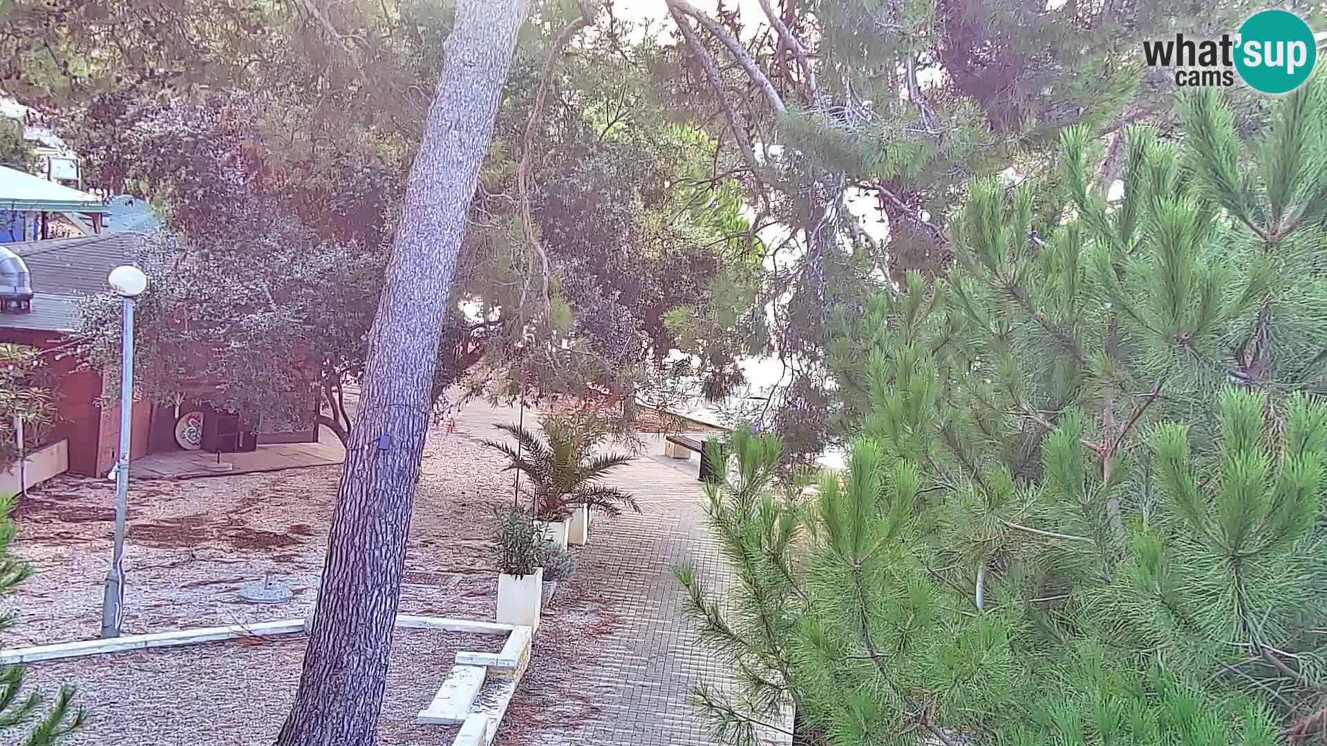 Webcam Spiaggia Borik a Rovigno – Istria