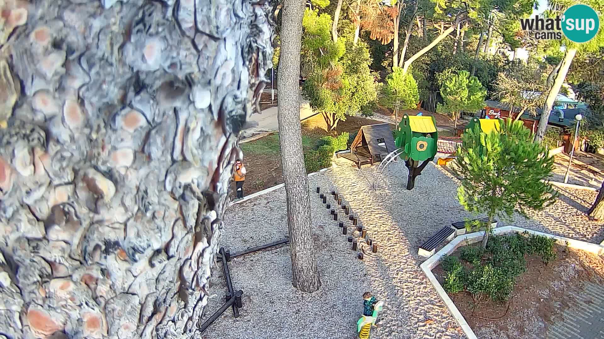 Webcam Borik Strand Rovinj – Istrien