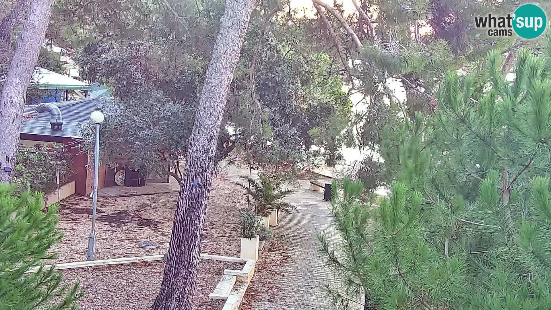 Webcam Spiaggia Borik a Rovigno – Istria