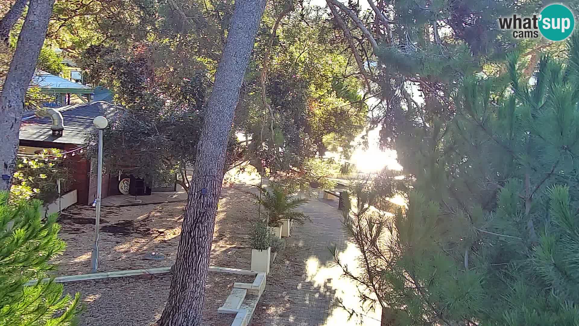 Webcam Spiaggia Borik a Rovigno – Istria