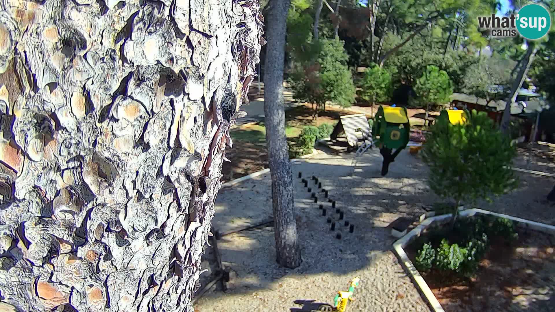 Spletna kamera plaža Borik Rovinj
