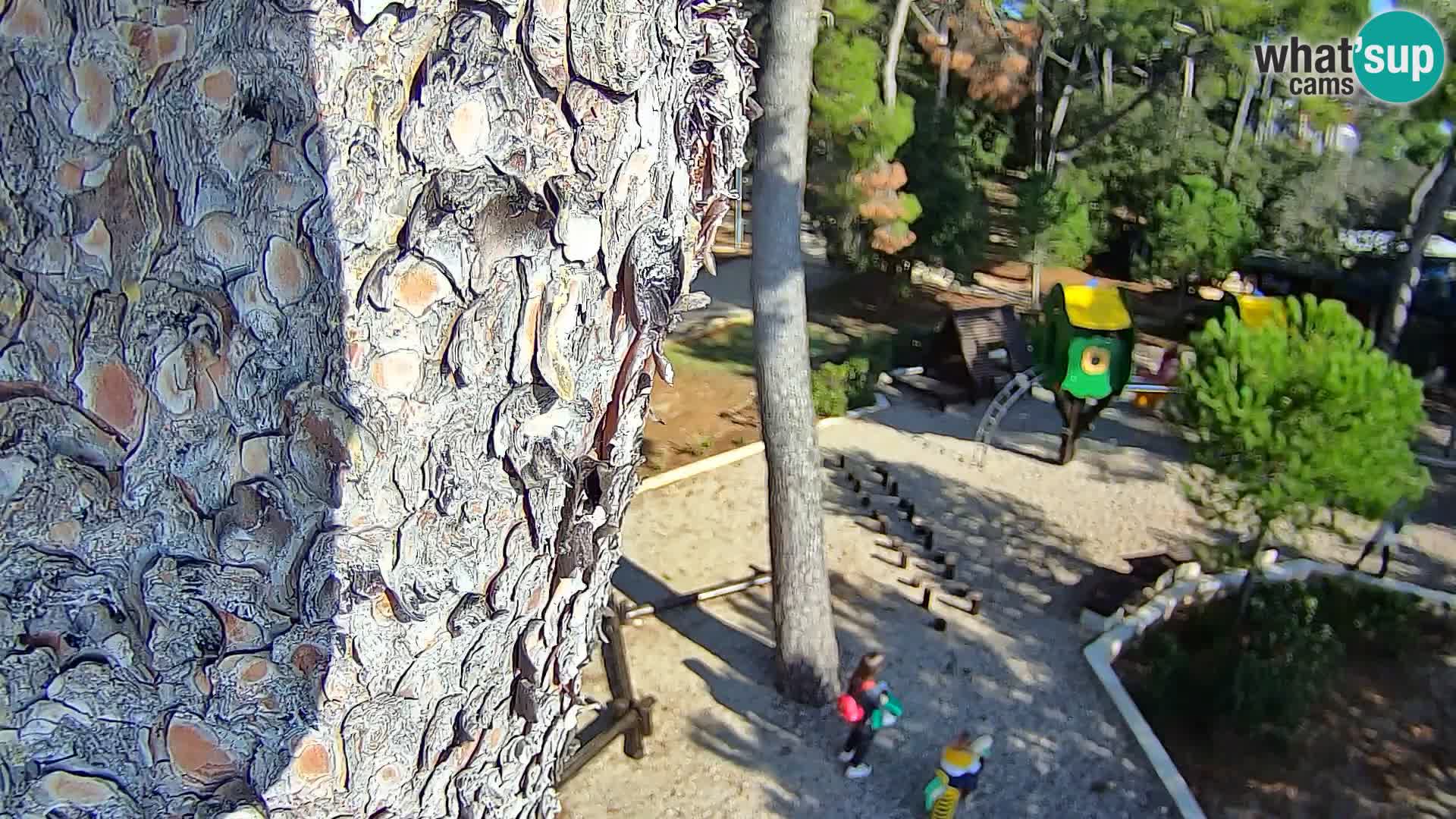 Livecam Borik plage Rovinj – Istrie