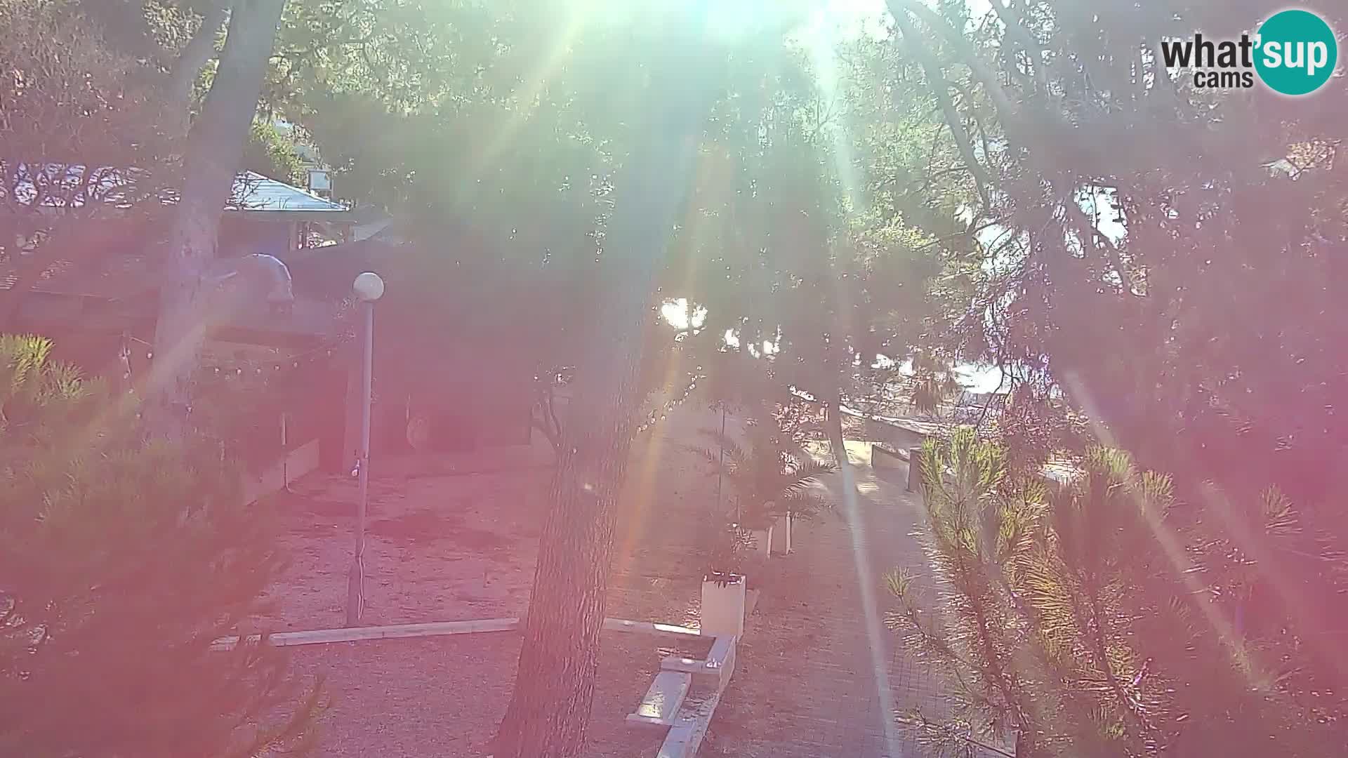 Webcam Borik Strand Rovinj – Istrien