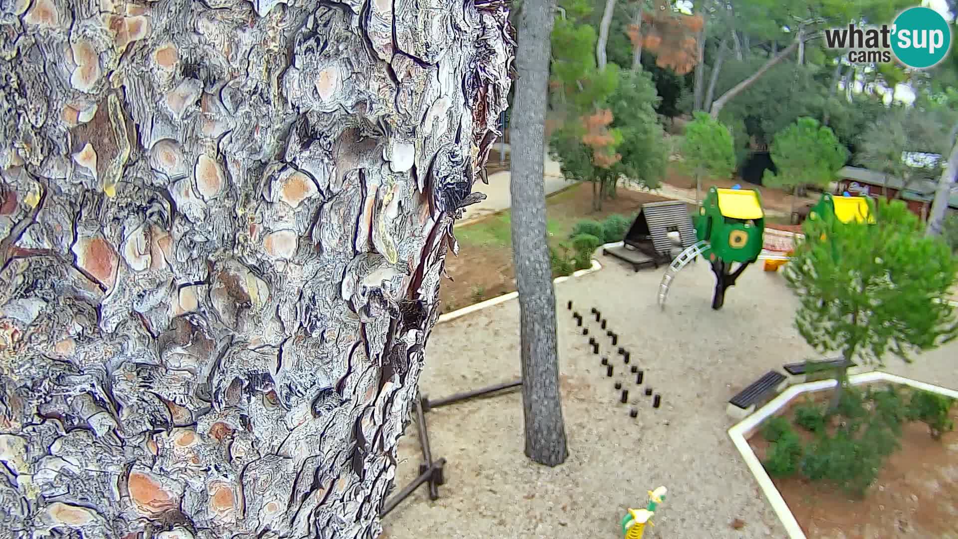 Webcam Borik Strand Rovinj – Istrien