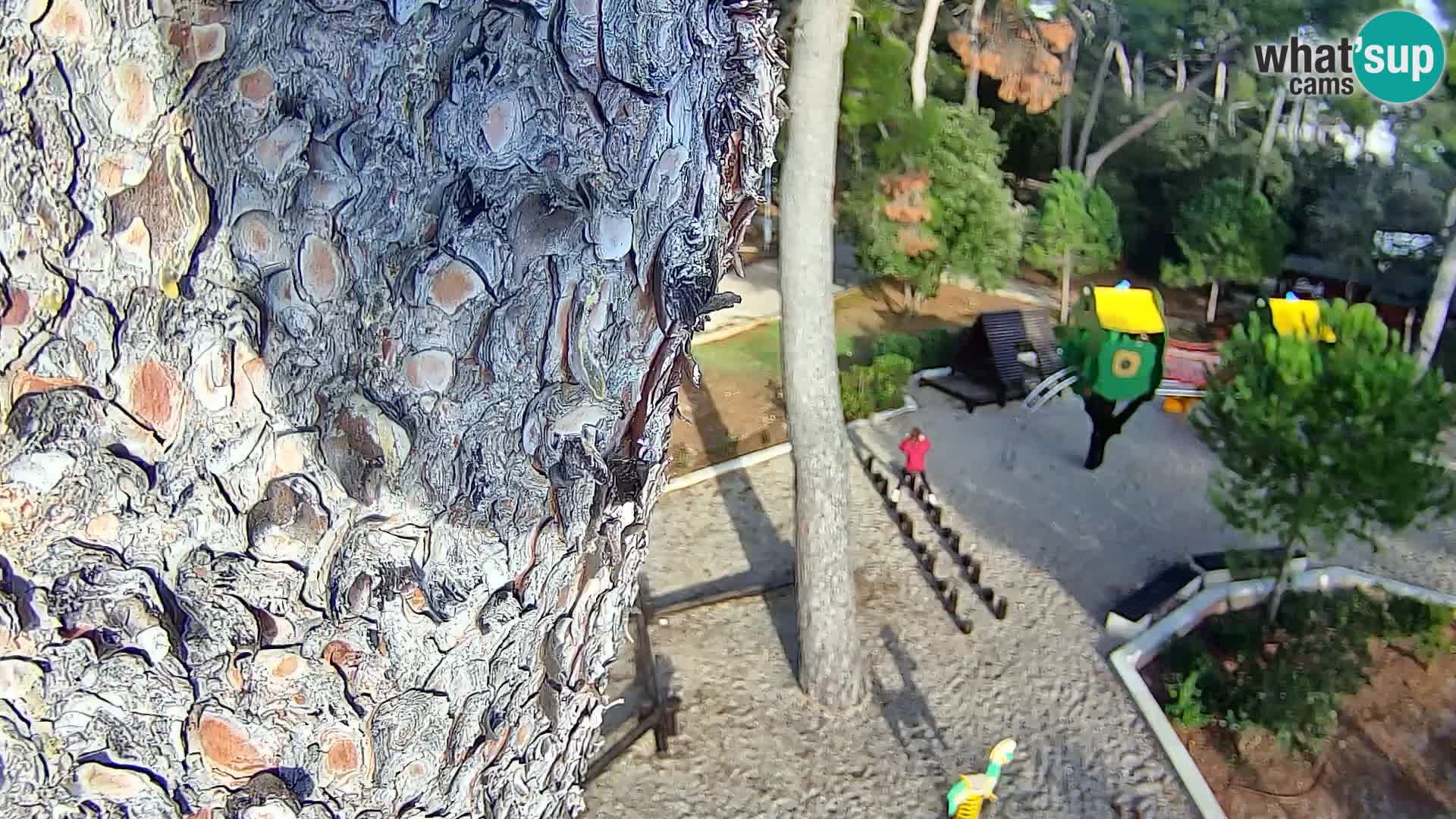 Camera en vivo Borik playa Rovinj – Istria