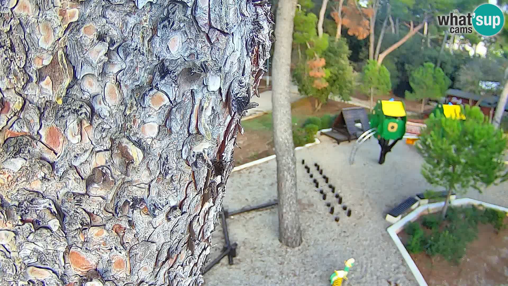 Webcam Spiaggia Borik a Rovigno – Istria