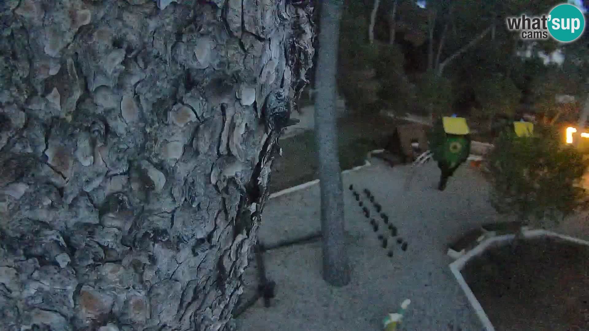 Webcam Borik Strand Rovinj – Istrien